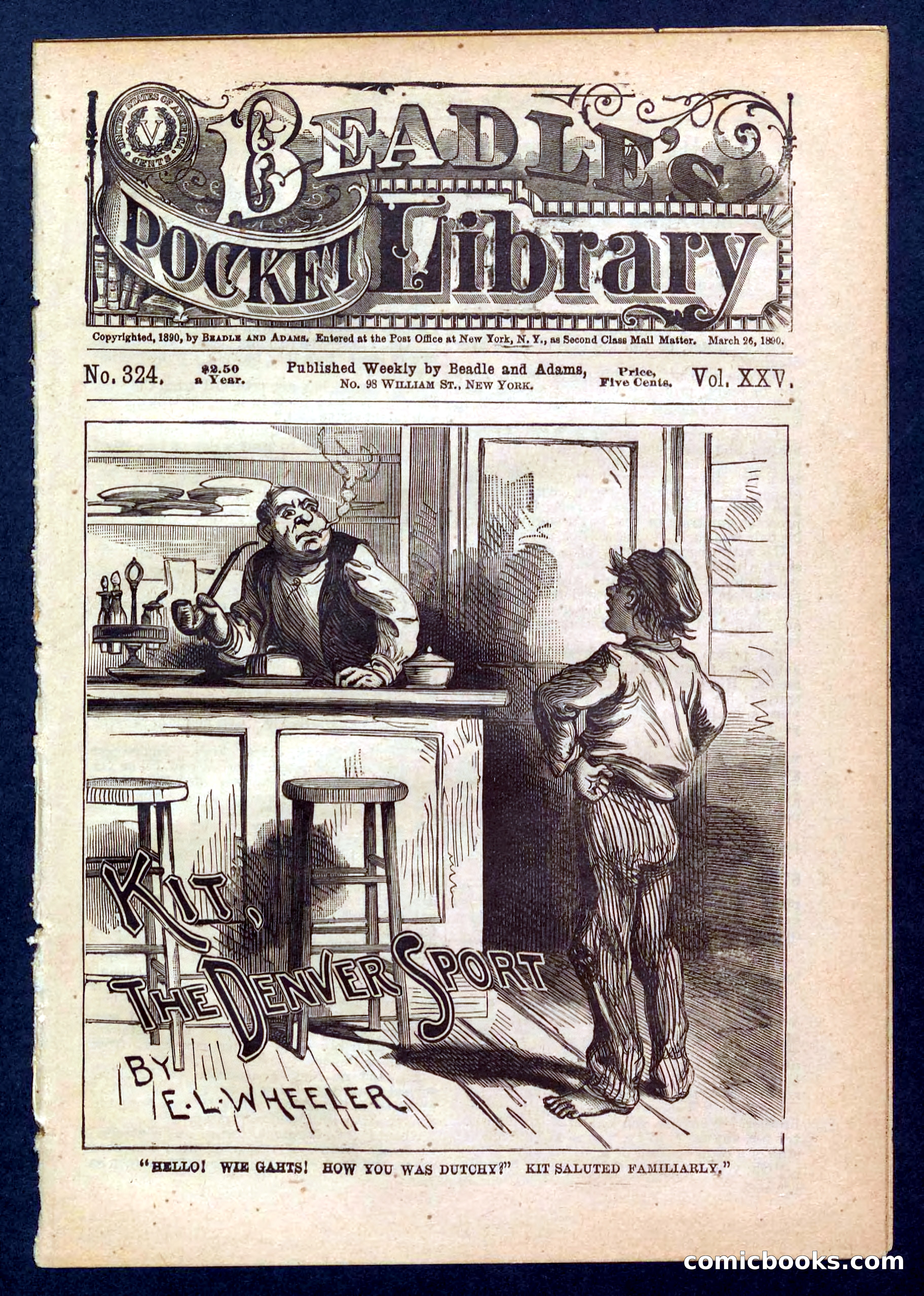 Beadle's Pocket Library No. 324 — page 1 of 32