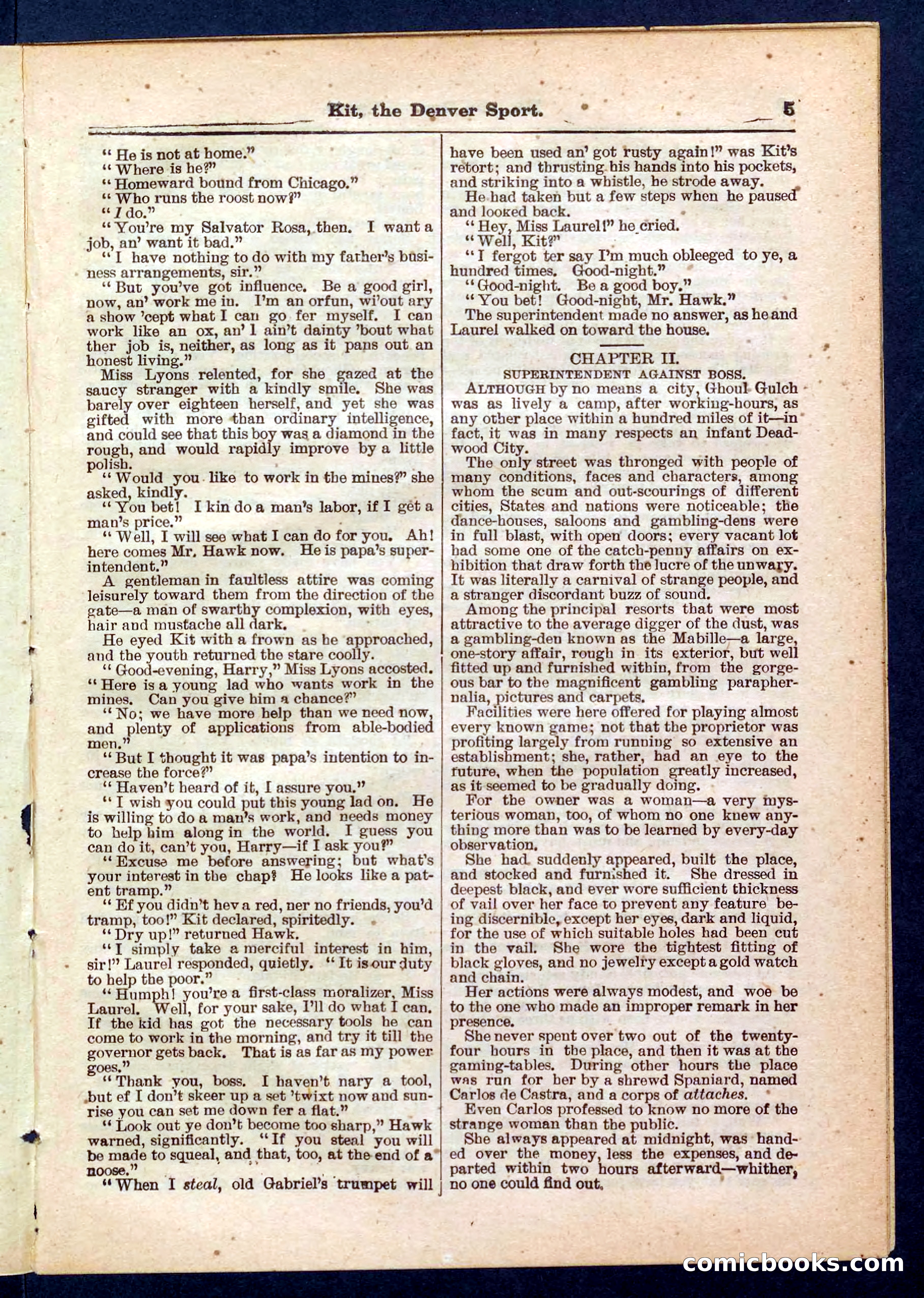 Beadle's Pocket Library No. 324 — page 5 of 32