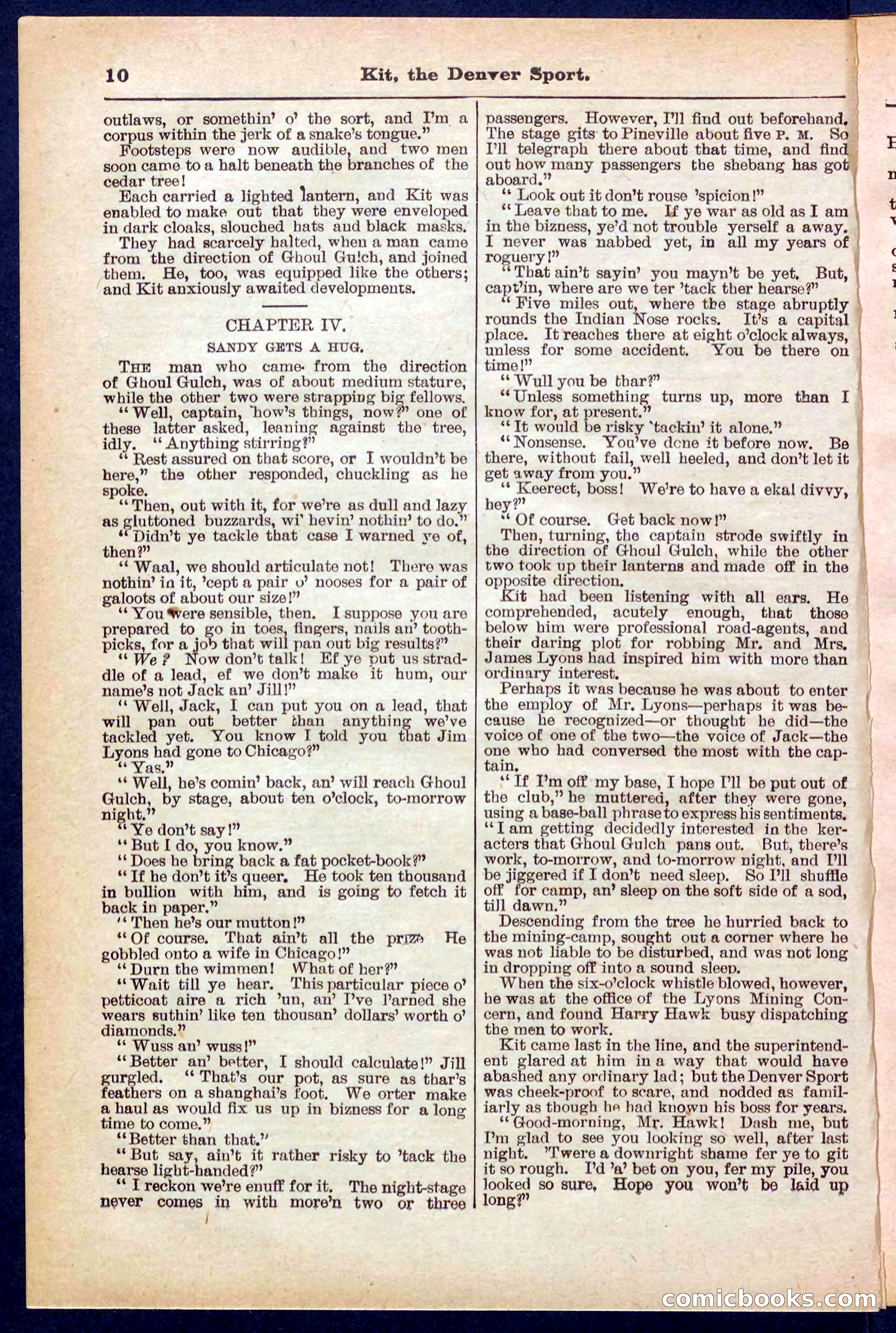 Beadle's Pocket Library No. 324 — page 10 of 32