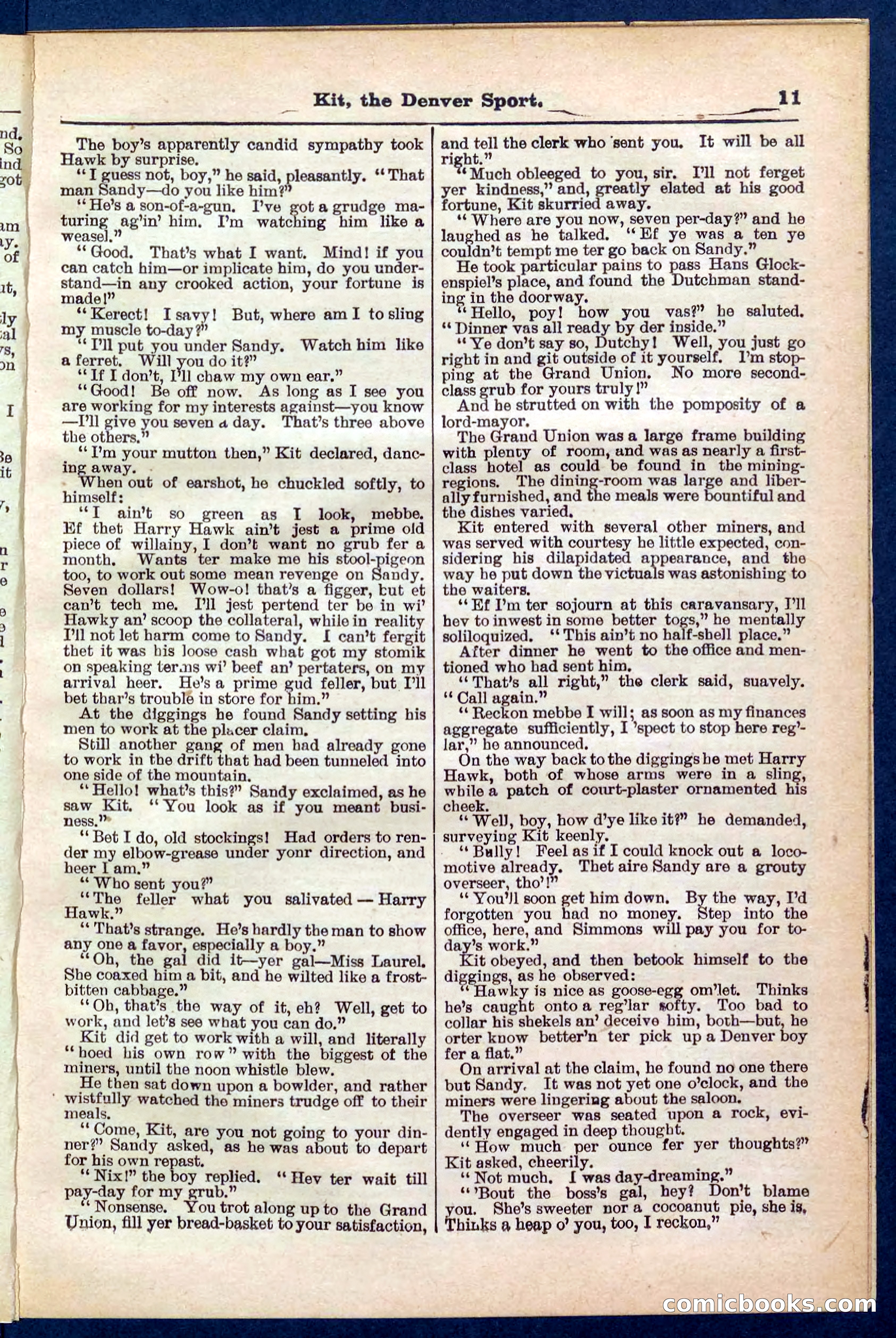 Beadle's Pocket Library No. 324 — page 11 of 32
