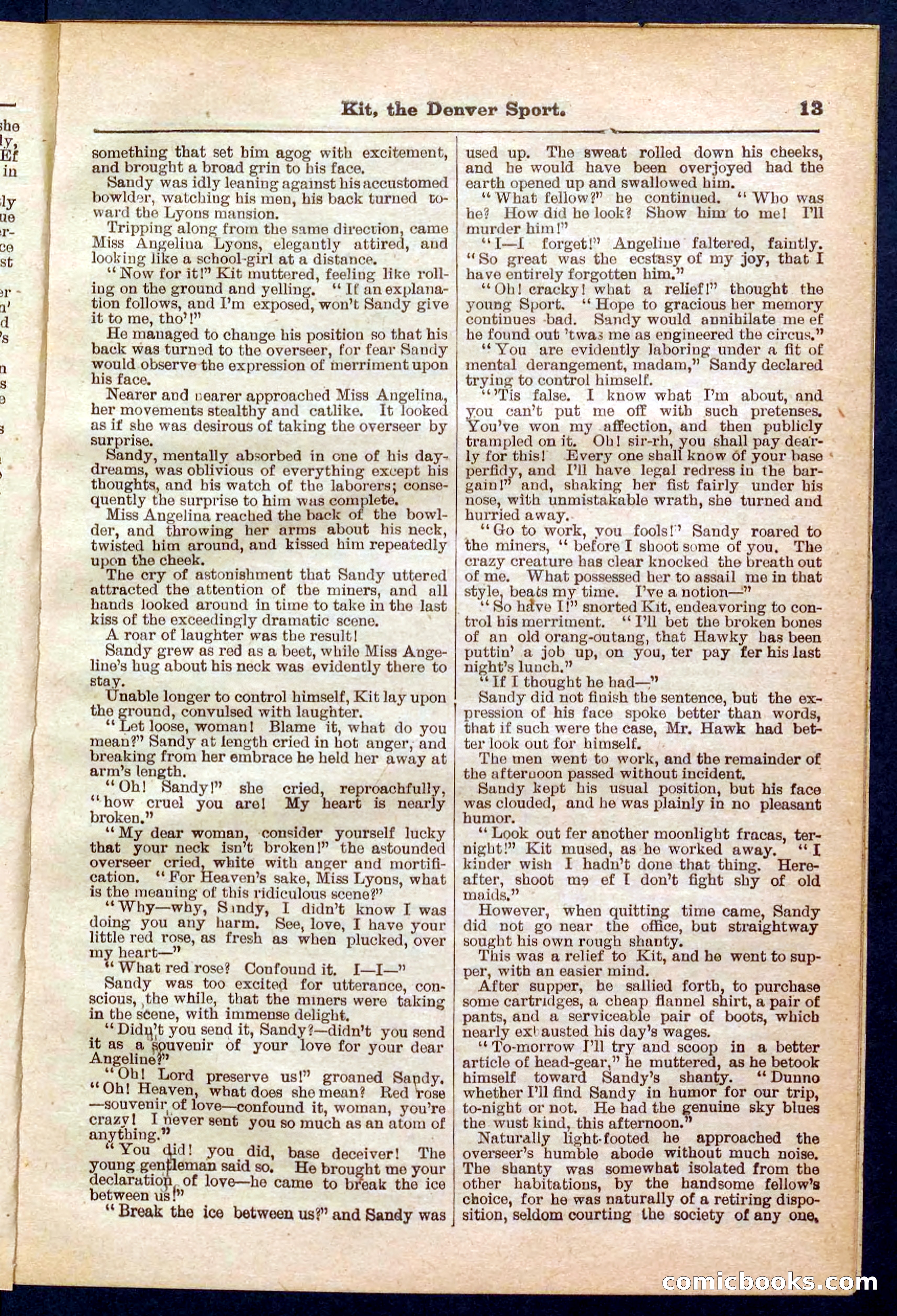 Beadle's Pocket Library No. 324 — page 13 of 32