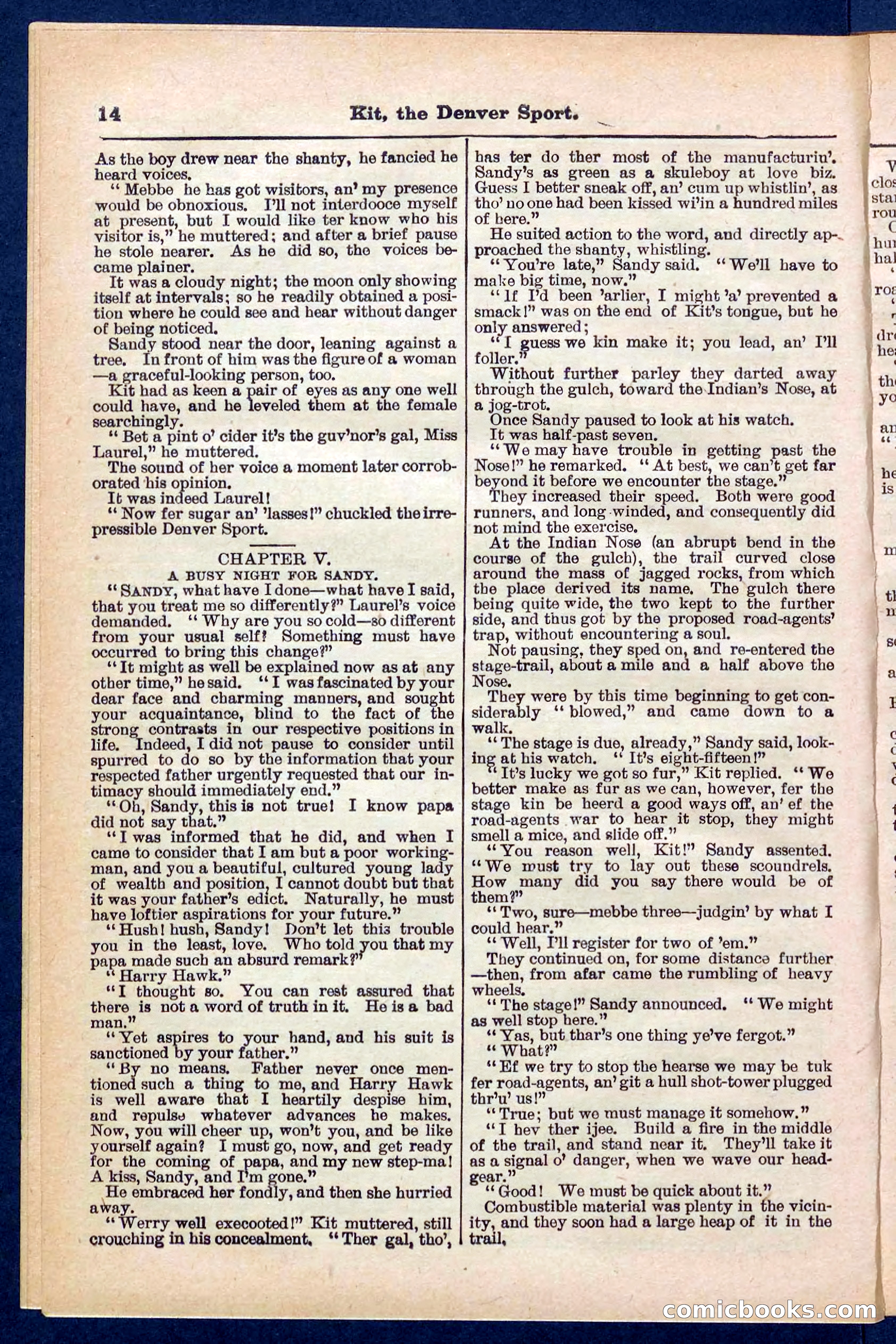 Beadle's Pocket Library No. 324 — page 14 of 32