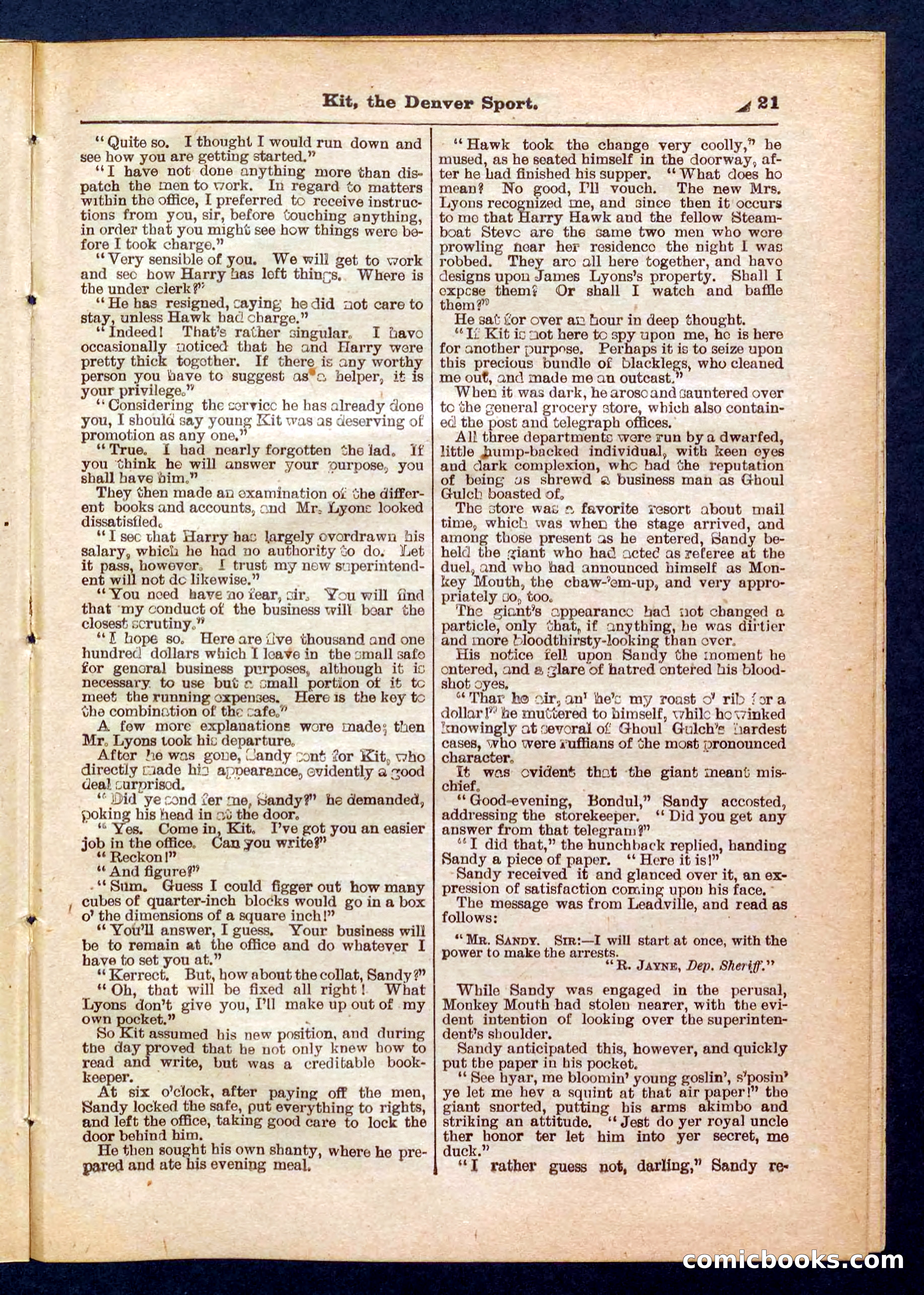 Beadle's Pocket Library No. 324 — page 21 of 32