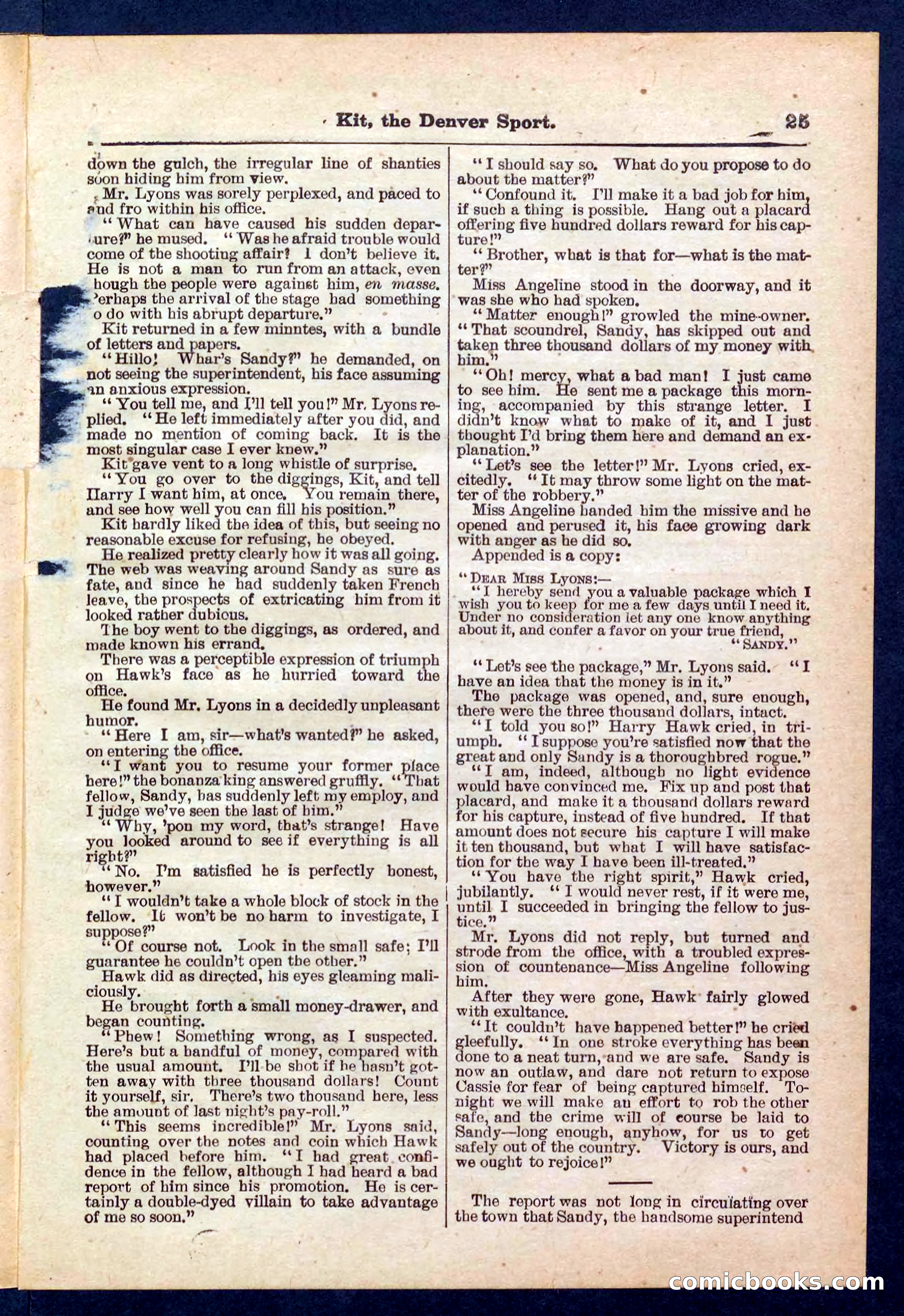 Beadle's Pocket Library No. 324 — page 25 of 32