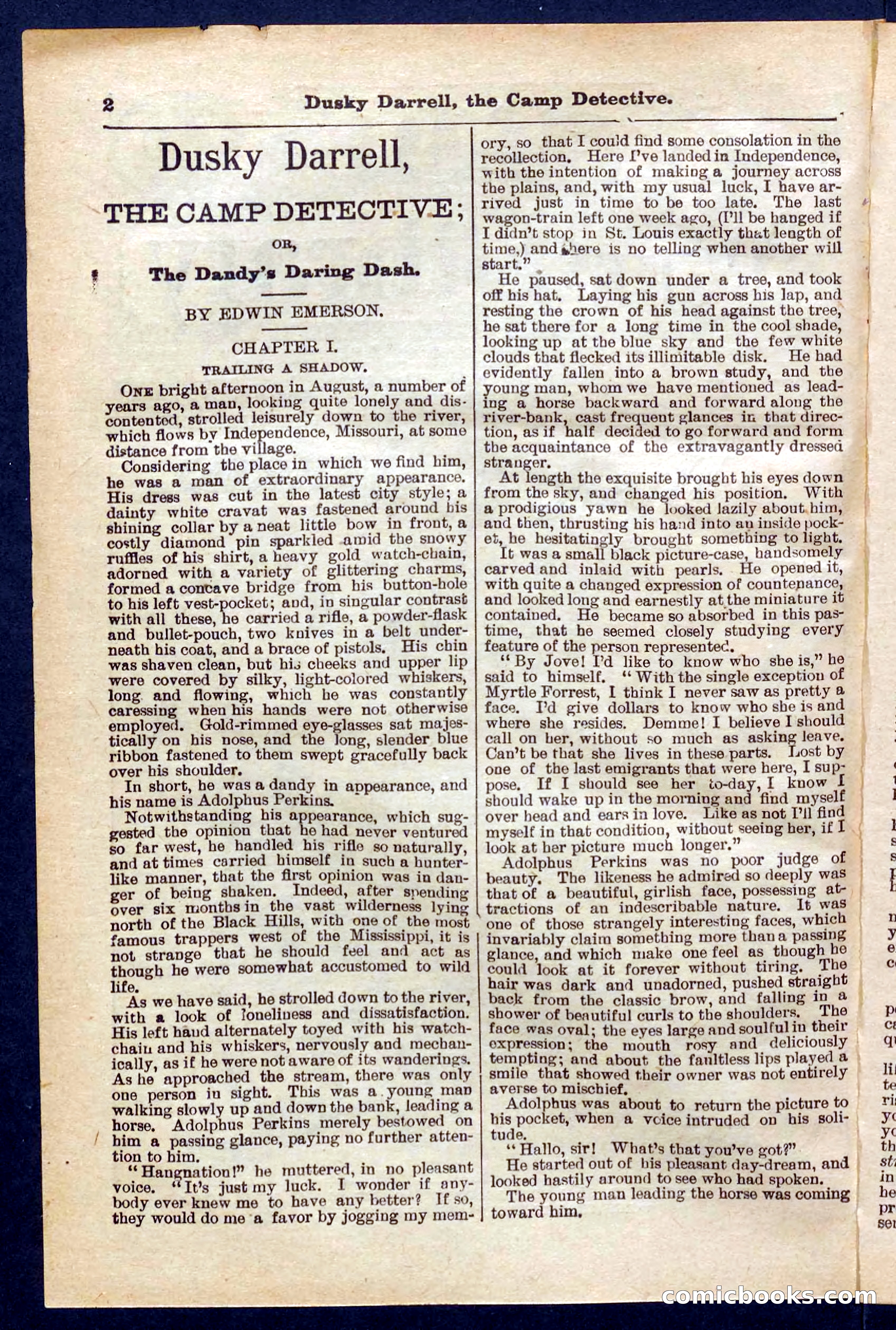 Beadle's Pocket Library No. 325 — page 2 of 32
