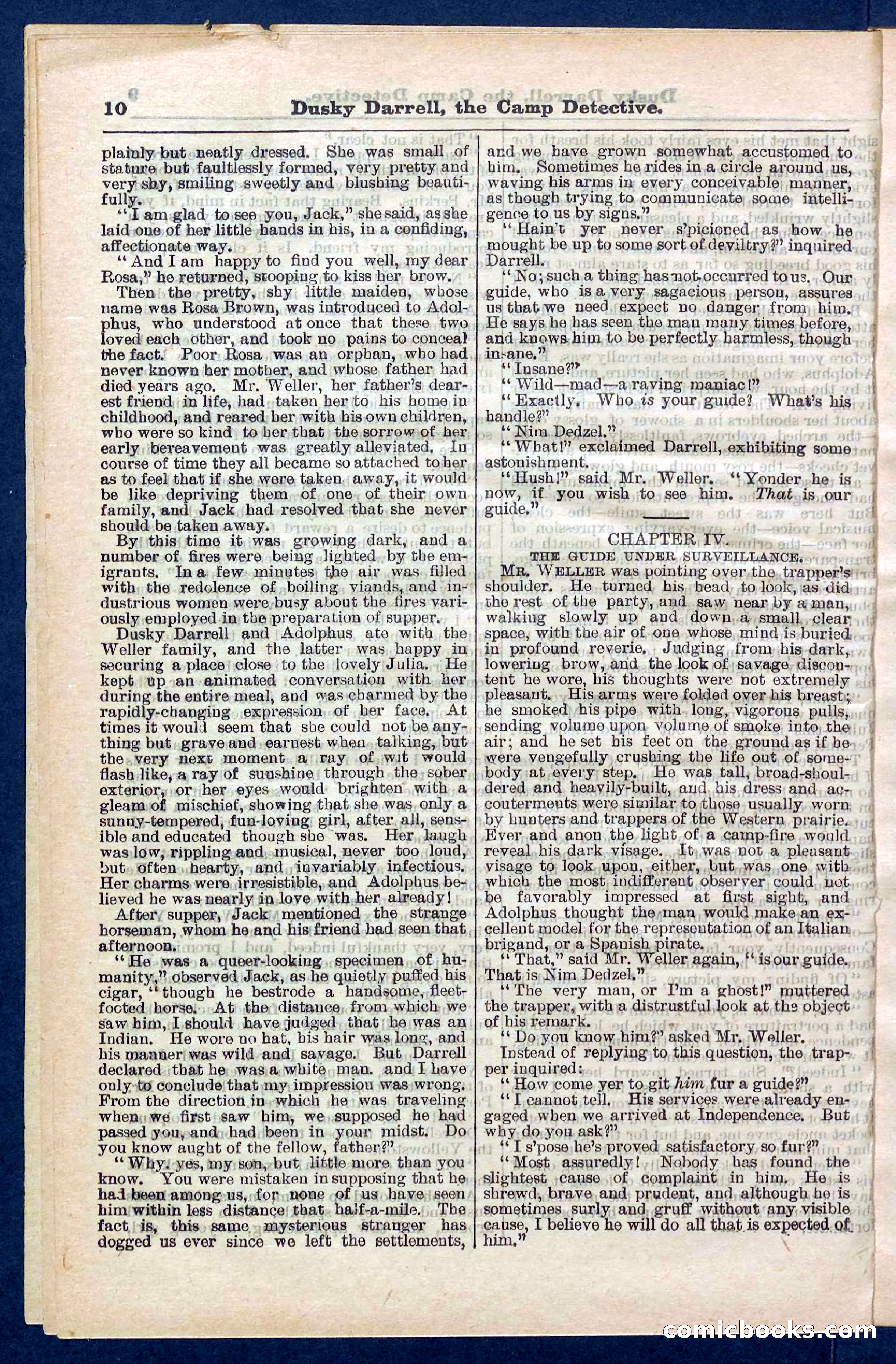 Beadle's Pocket Library No. 325 — page 10 of 32