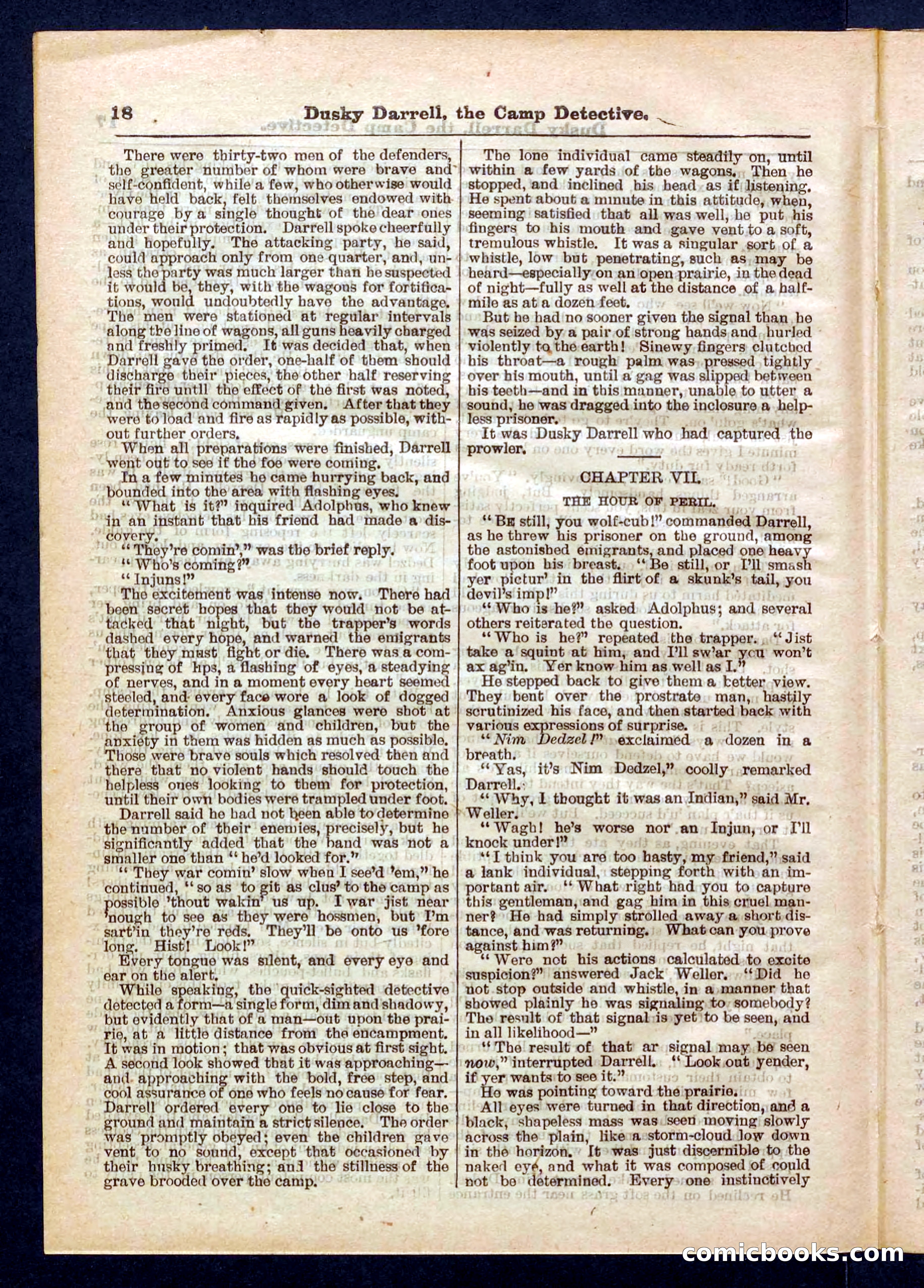 Beadle's Pocket Library No. 325 — page 18 of 32