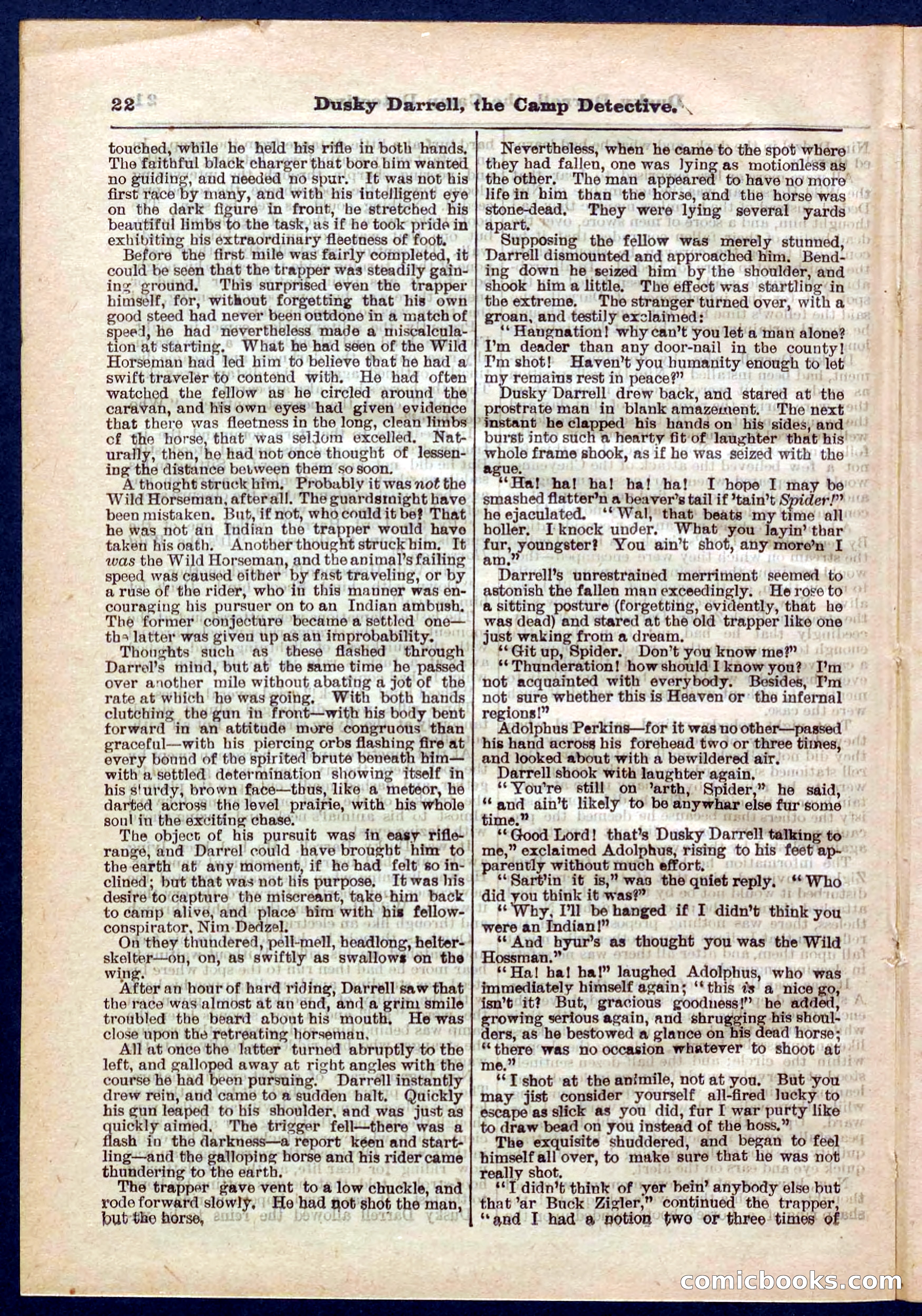 Beadle's Pocket Library No. 325 — page 22 of 32