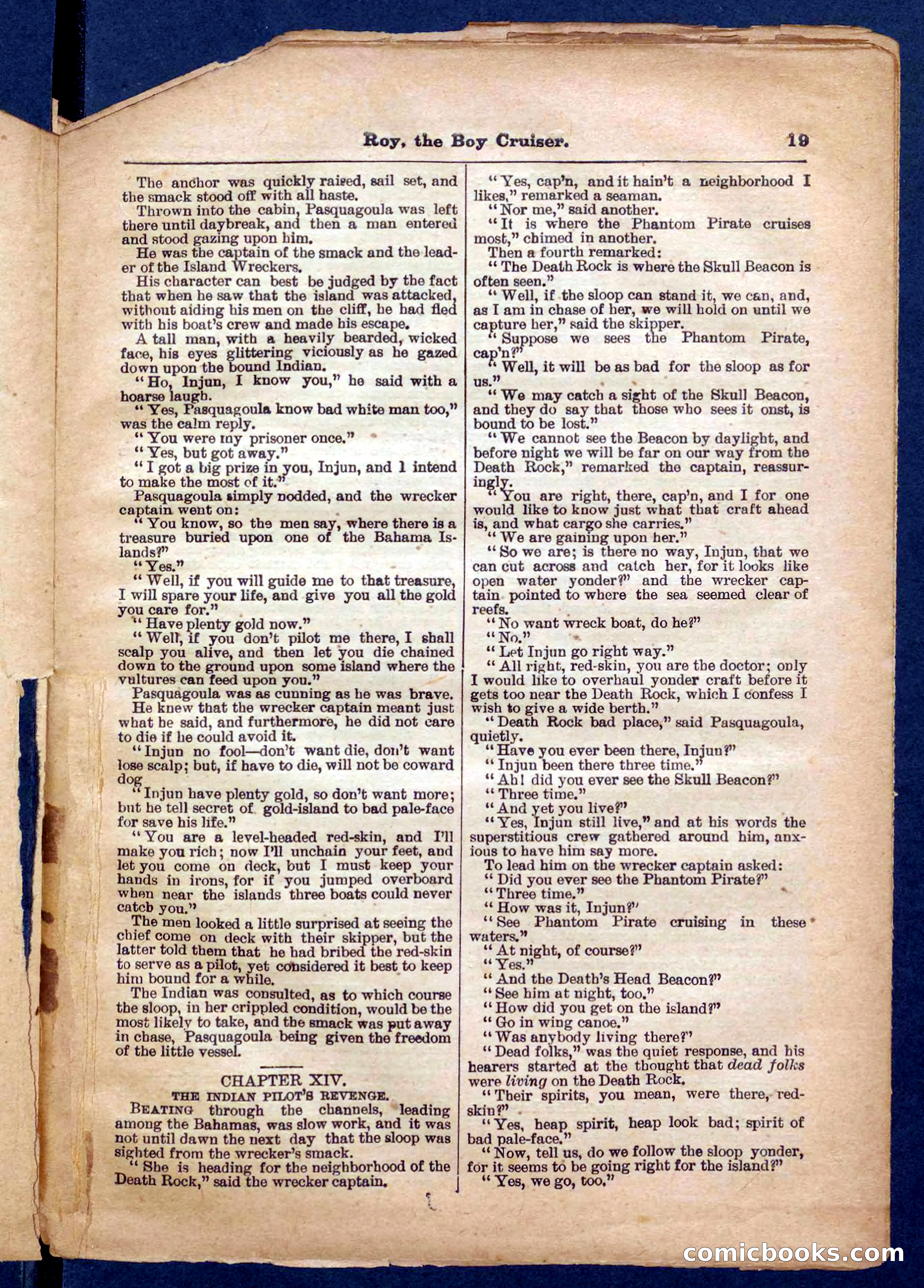 Beadle's Pocket Library No. 326 — page 19 of 32