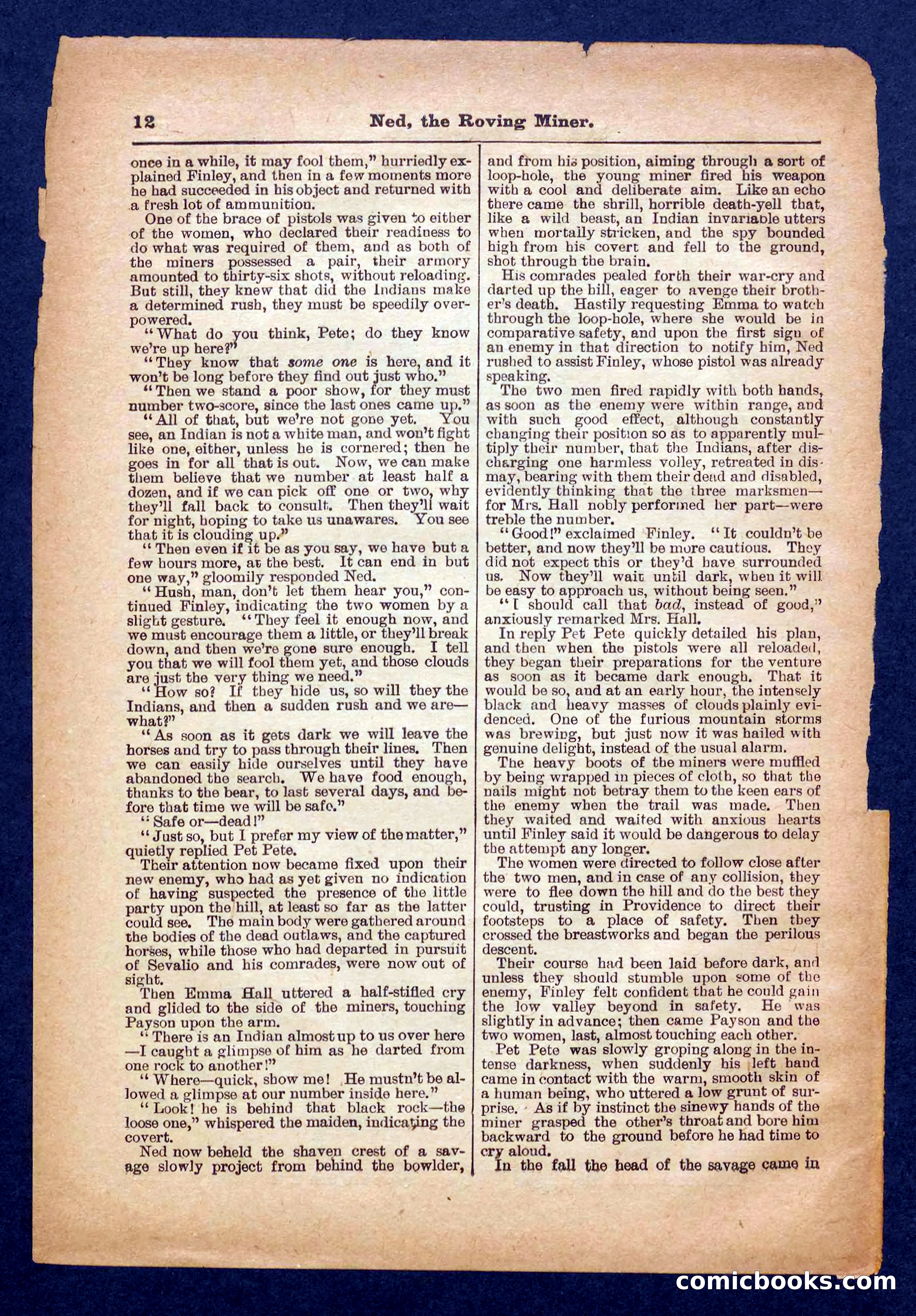 Beadle's Pocket Library No. 327 — page 12 of 32