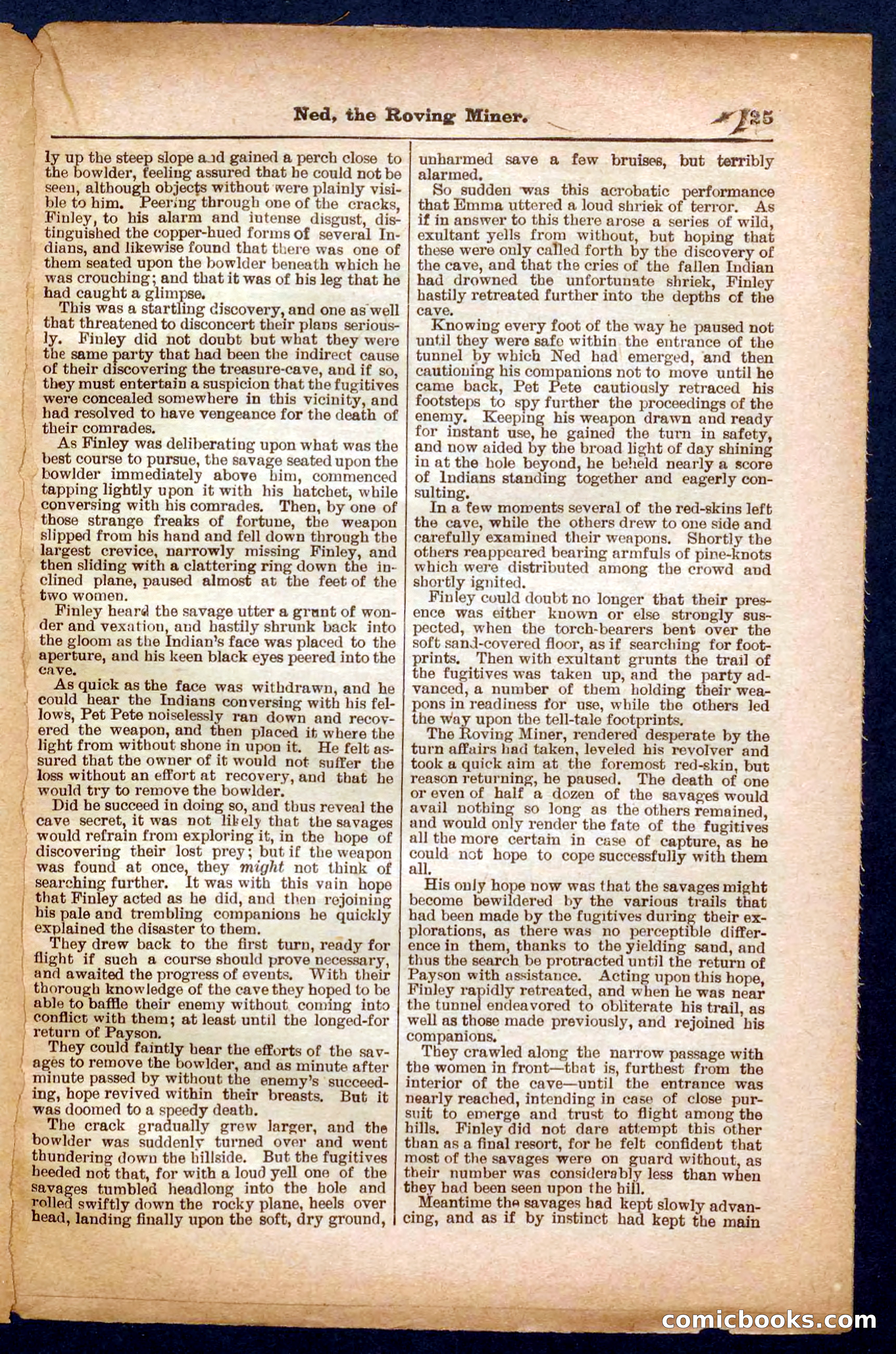 Beadle's Pocket Library No. 327 — page 25 of 32