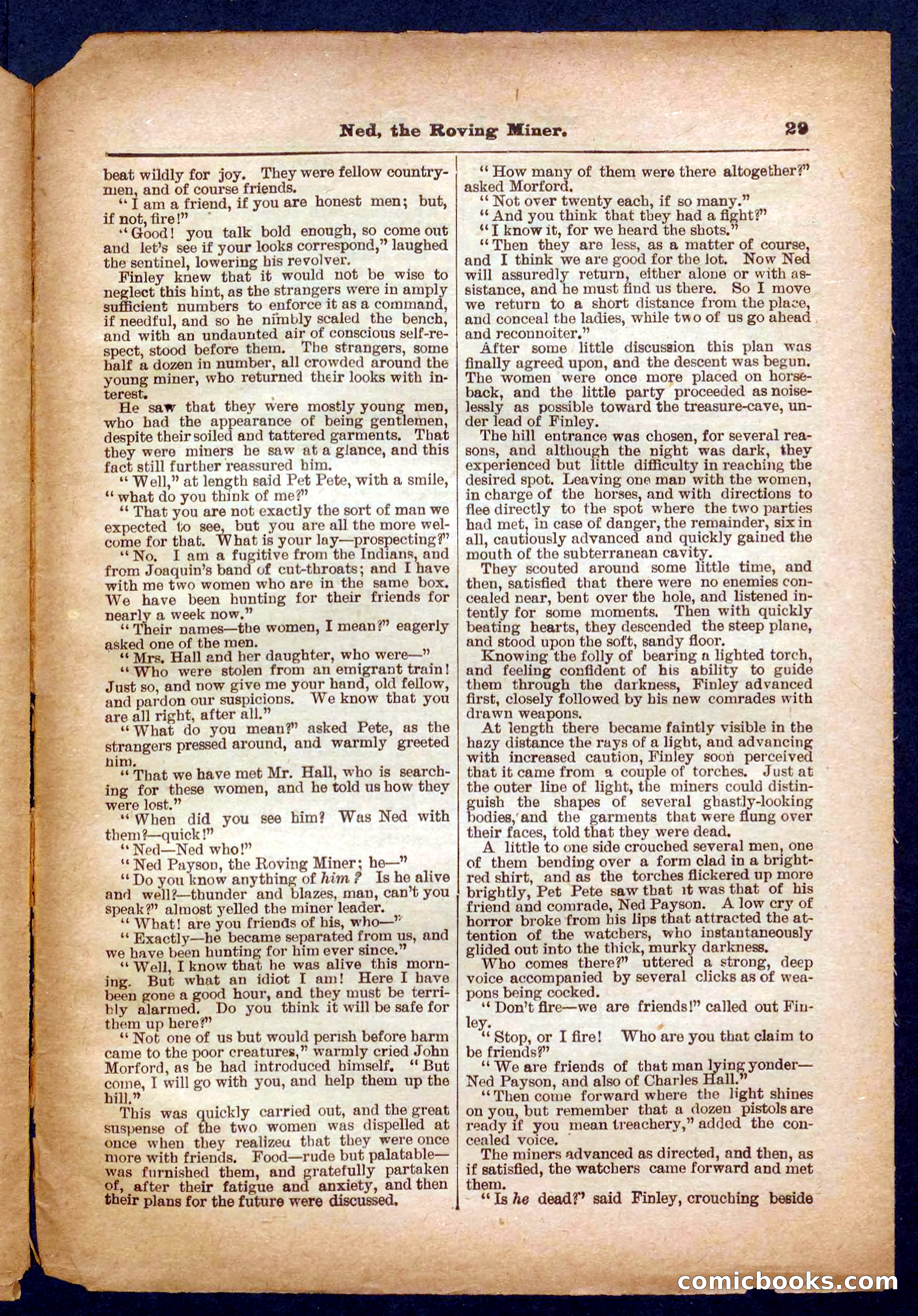 Beadle's Pocket Library No. 327 — page 29 of 32