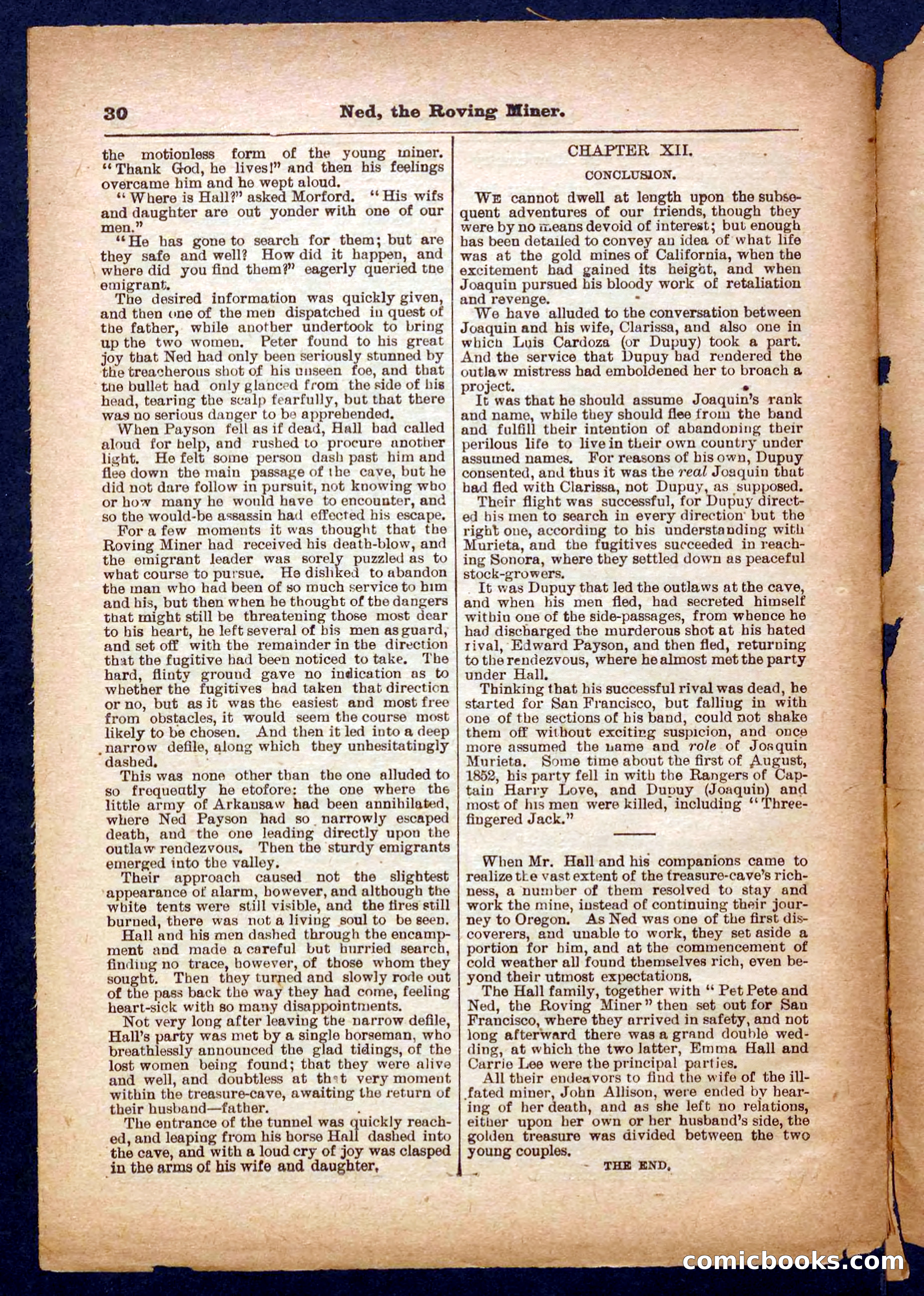 Beadle's Pocket Library No. 327 — page 30 of 32