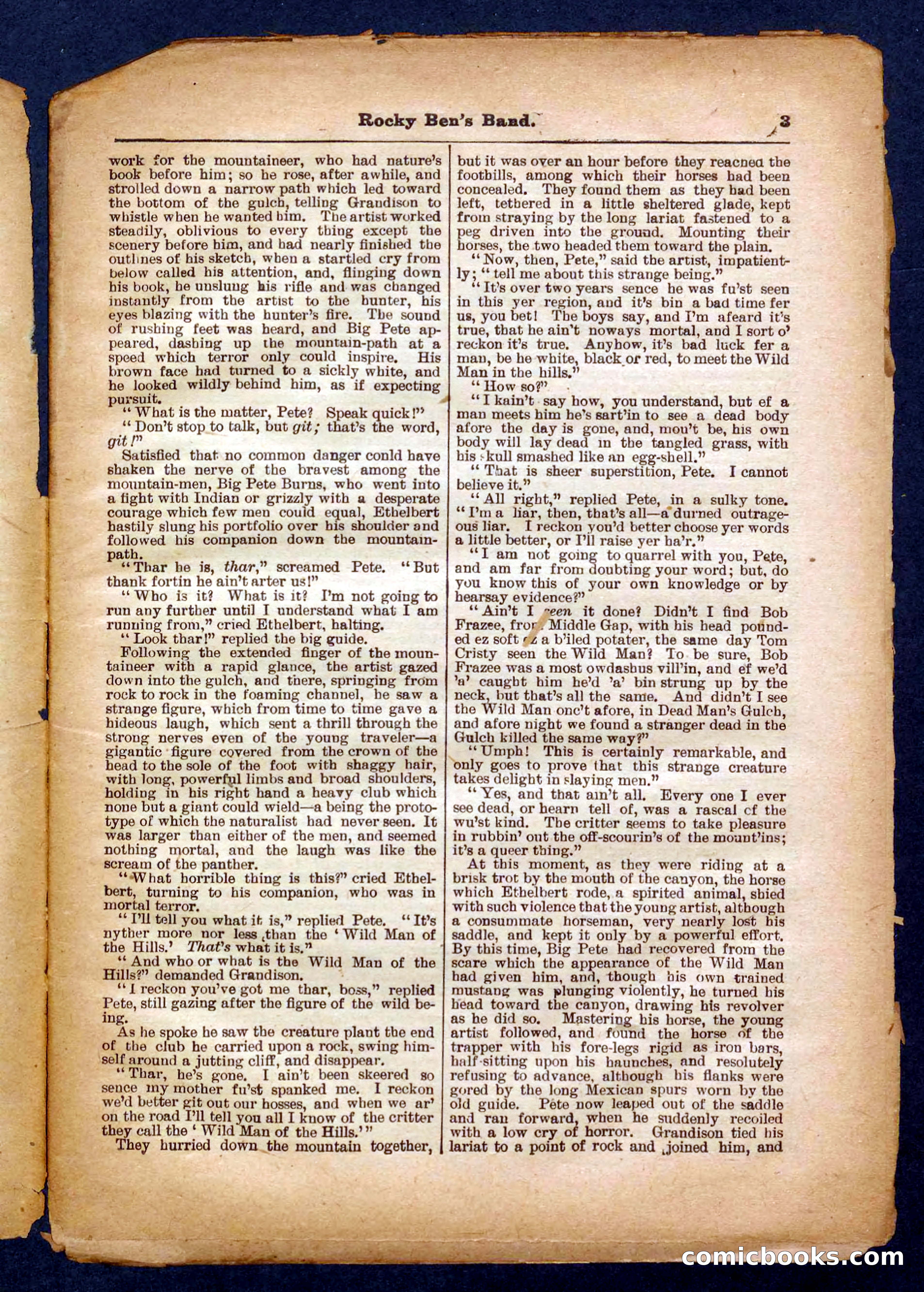 Beadle's Pocket Library No. 328 — page 3 of 32