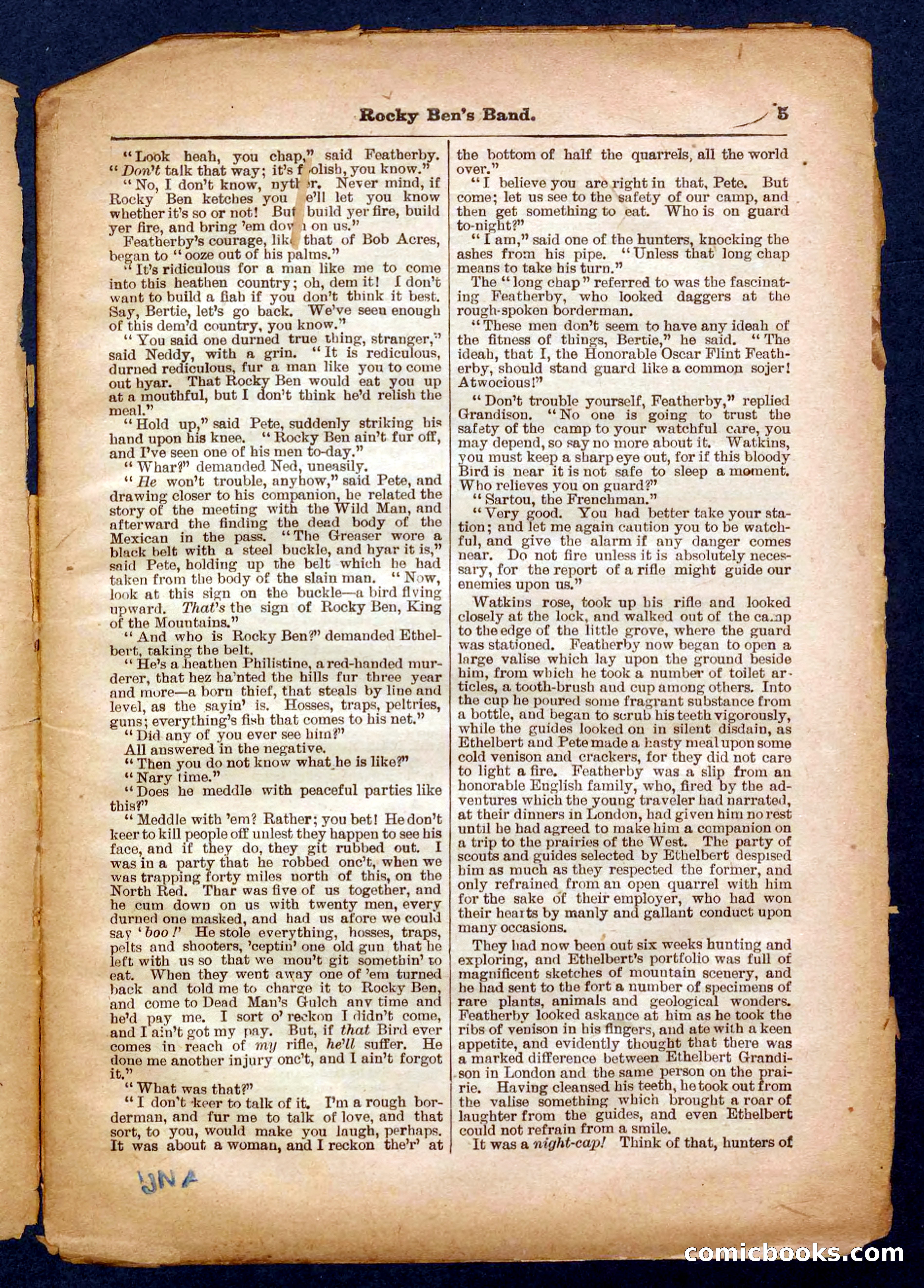 Beadle's Pocket Library No. 328 — page 5 of 32