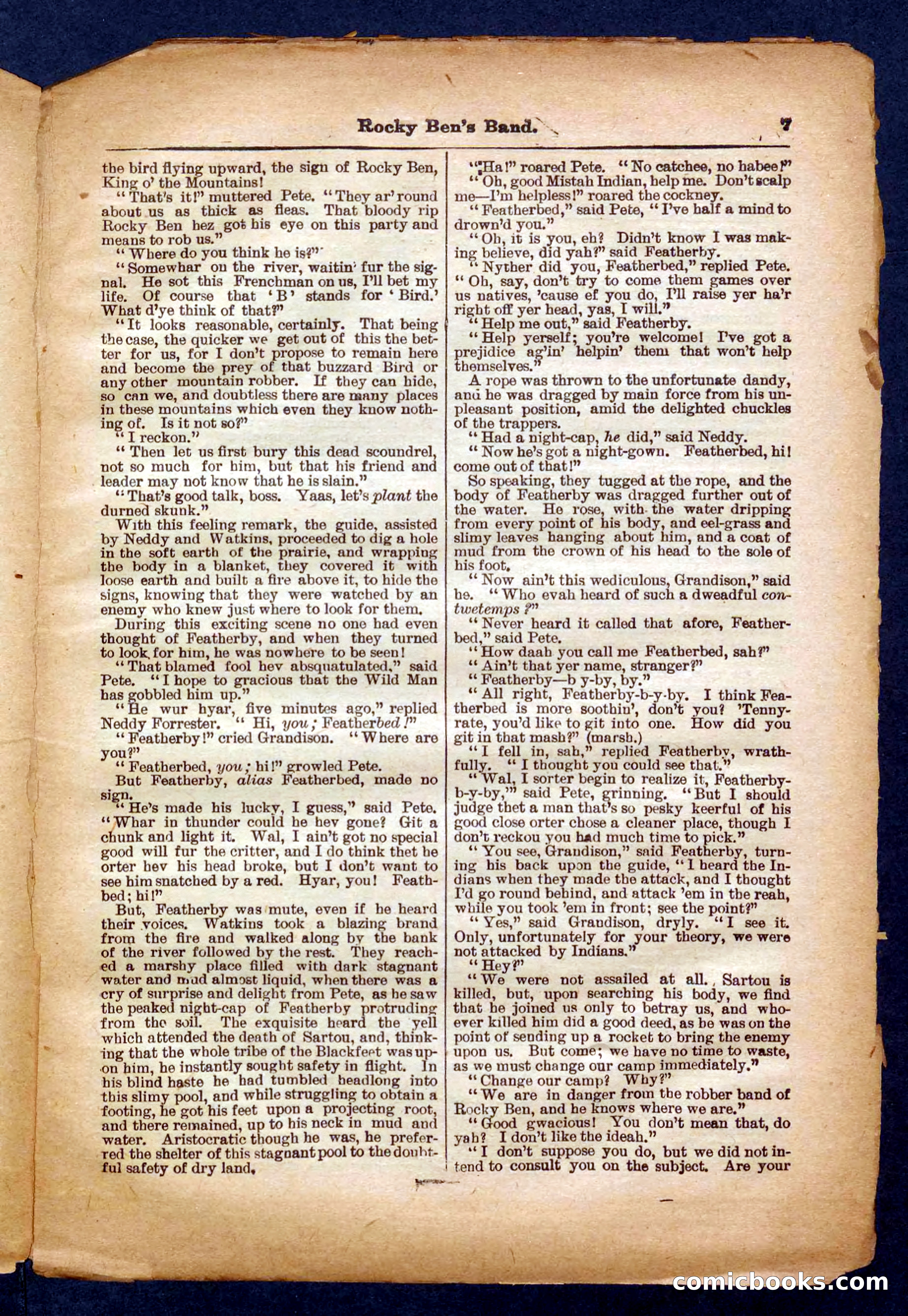 Beadle's Pocket Library No. 328 — page 7 of 32
