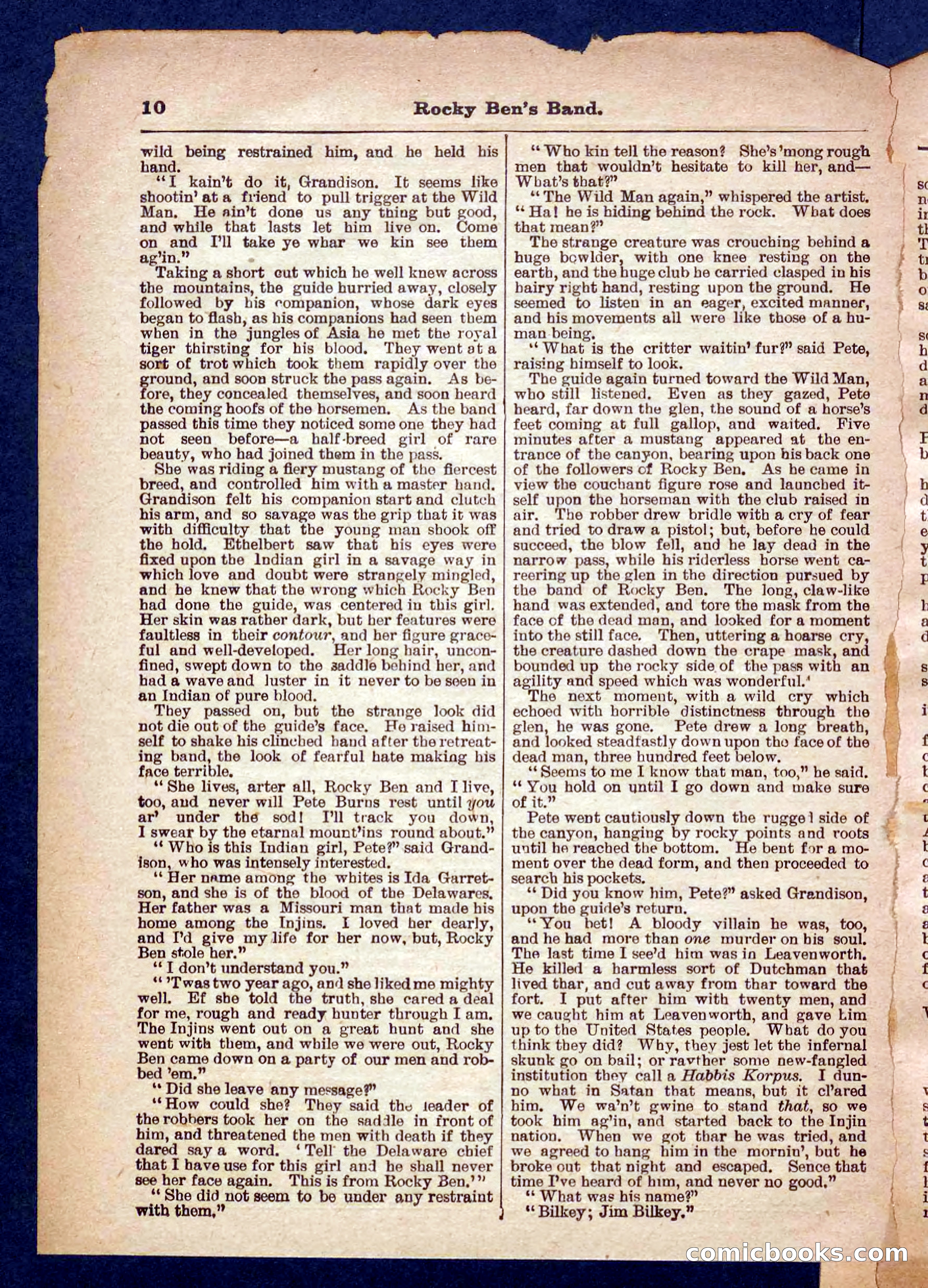 Beadle's Pocket Library No. 328 — page 10 of 32