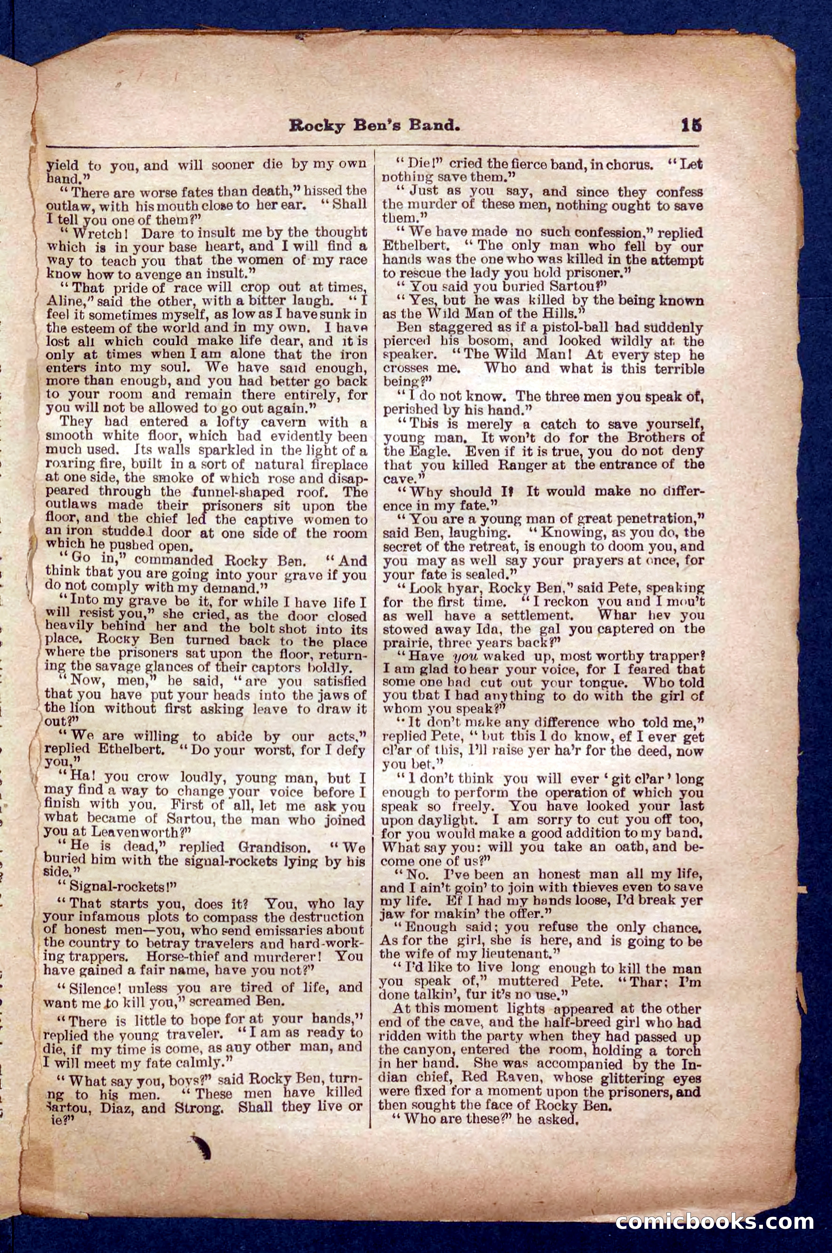 Beadle's Pocket Library No. 328 — page 15 of 32