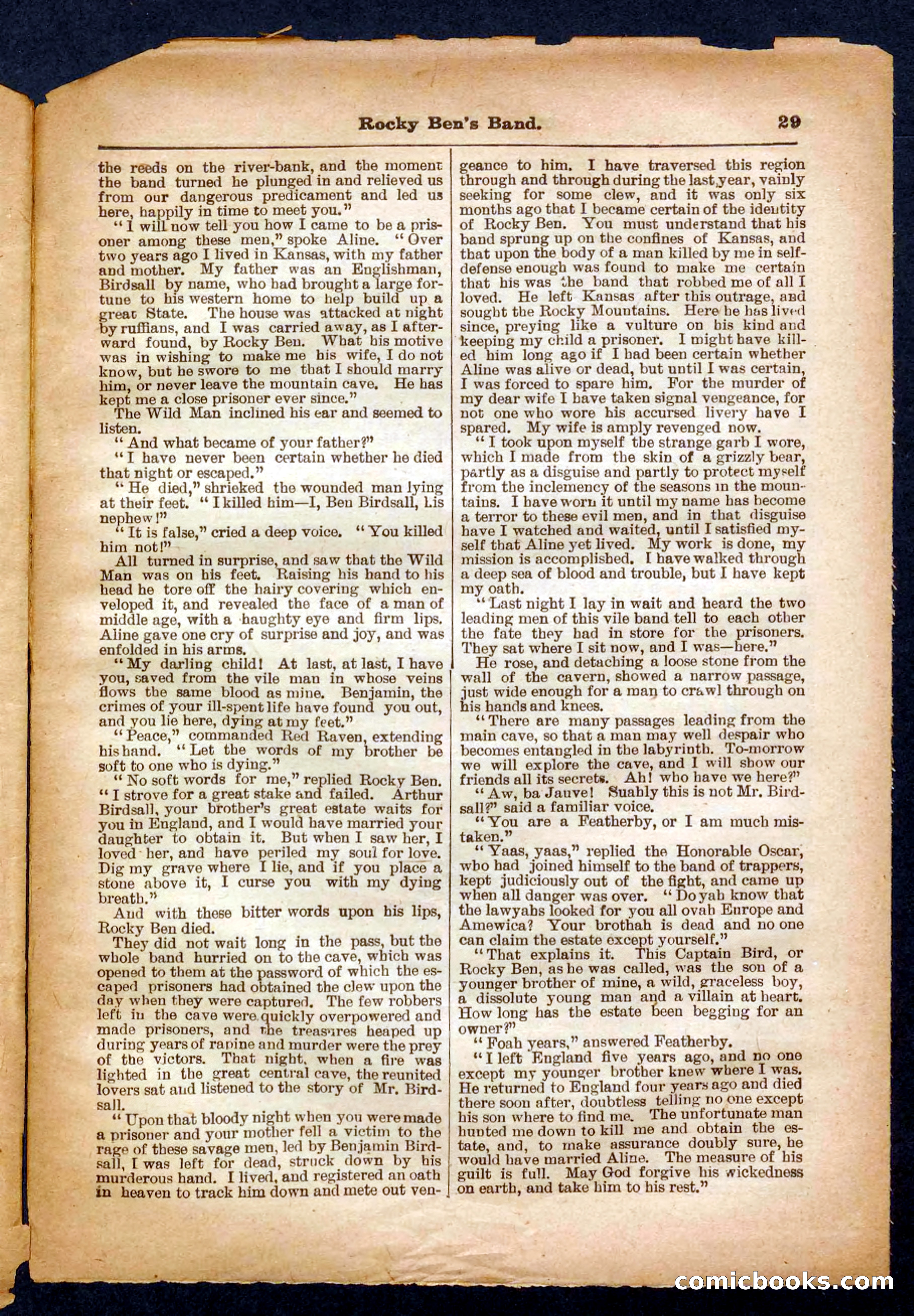 Beadle's Pocket Library No. 328 — page 29 of 32