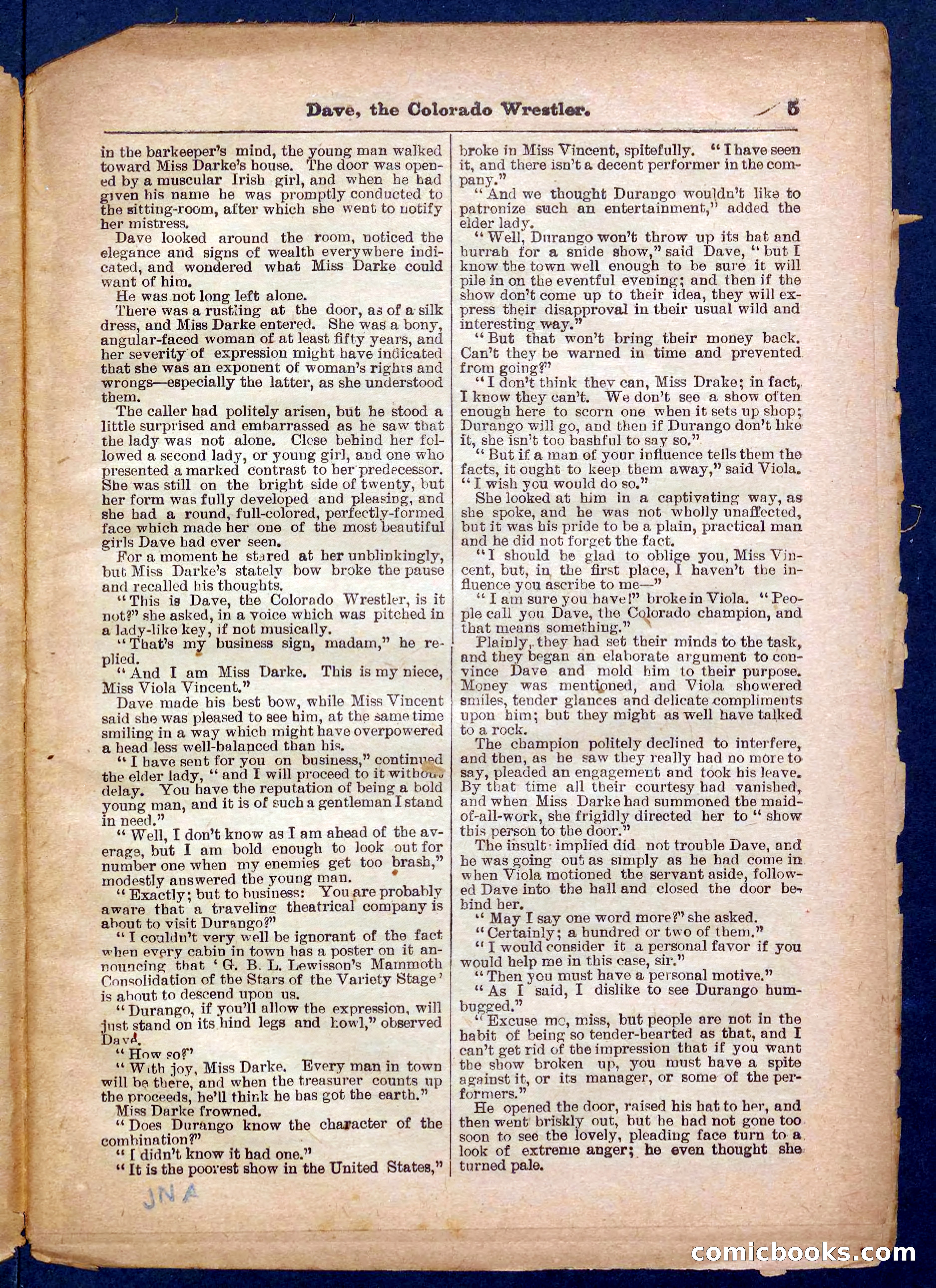 Beadle's Pocket Library No. 329: Dave the Colorado Wrestler — page 5 of 32