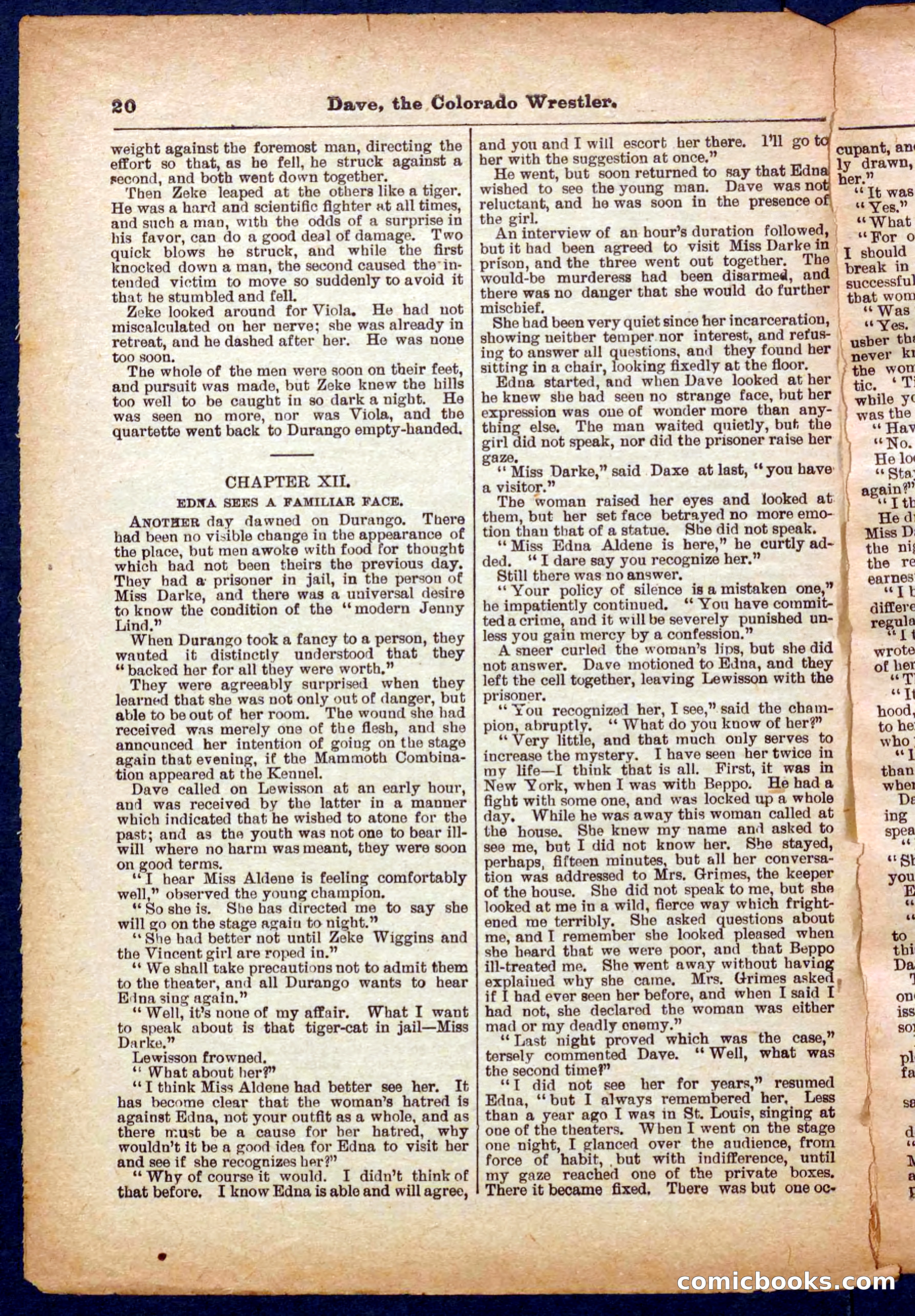 Beadle's Pocket Library No. 329: Dave the Colorado Wrestler — page 20 of 32