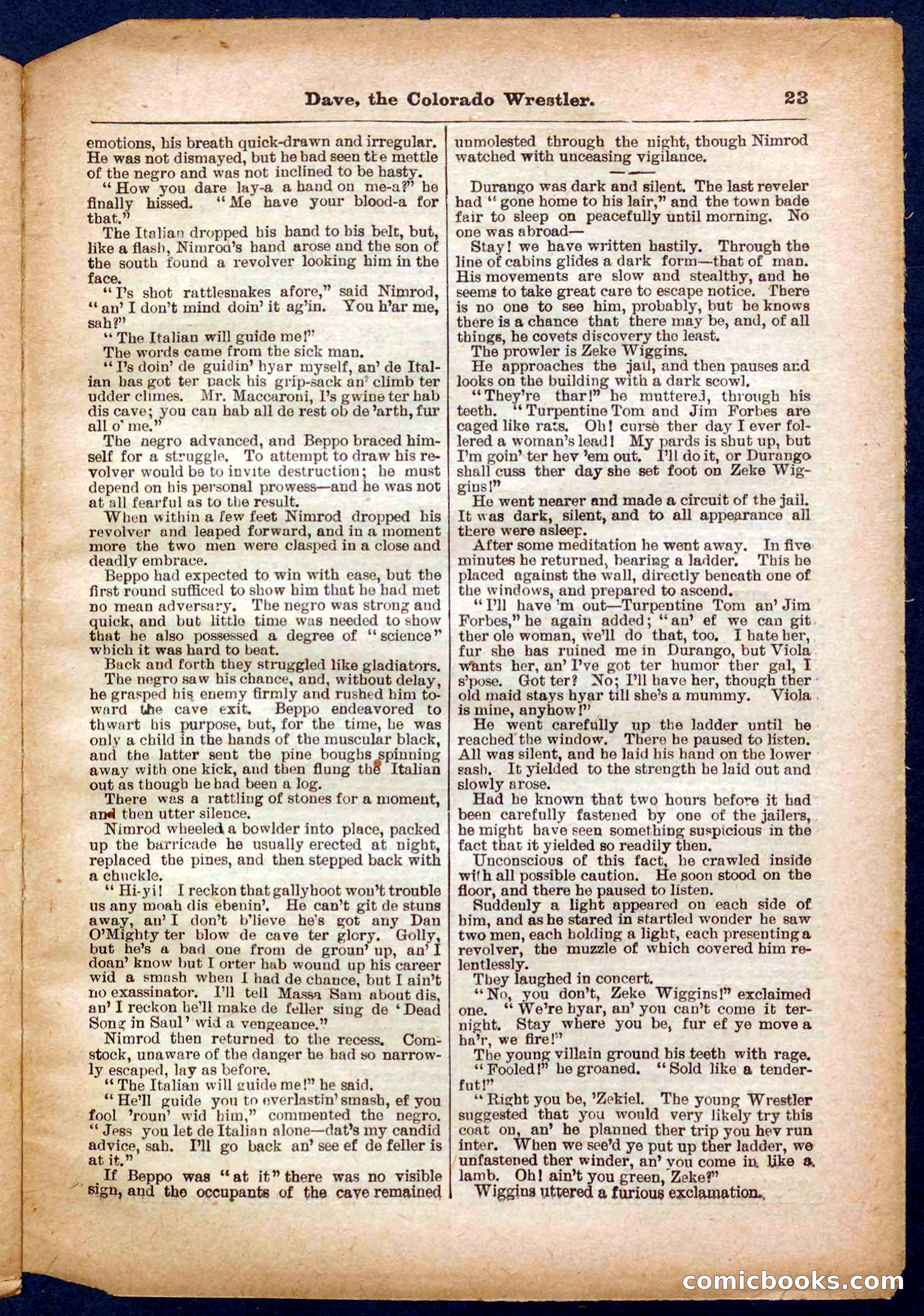 Beadle's Pocket Library No. 329: Dave the Colorado Wrestler — page 23 of 32