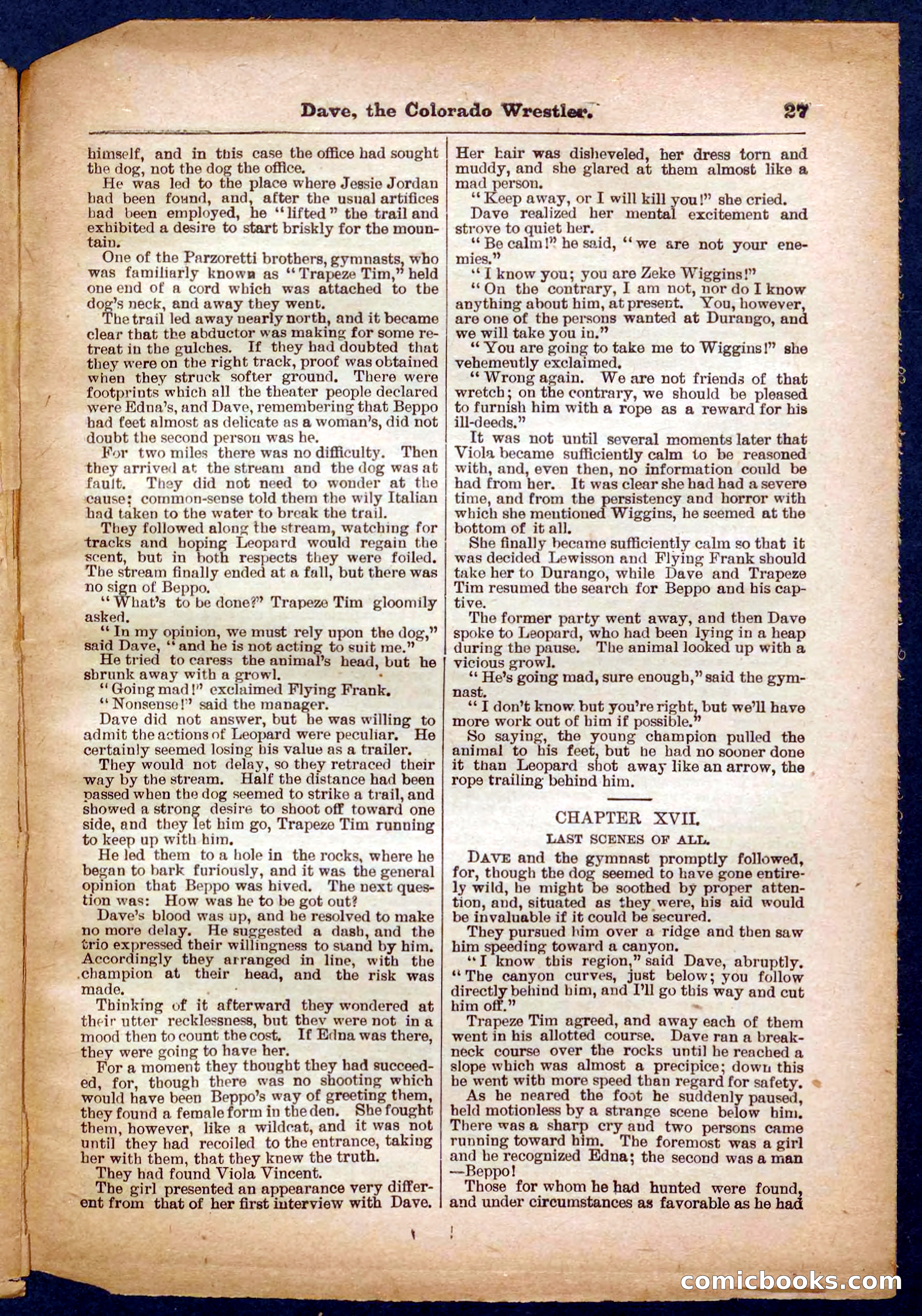 Beadle's Pocket Library No. 329: Dave the Colorado Wrestler — page 27 of 32