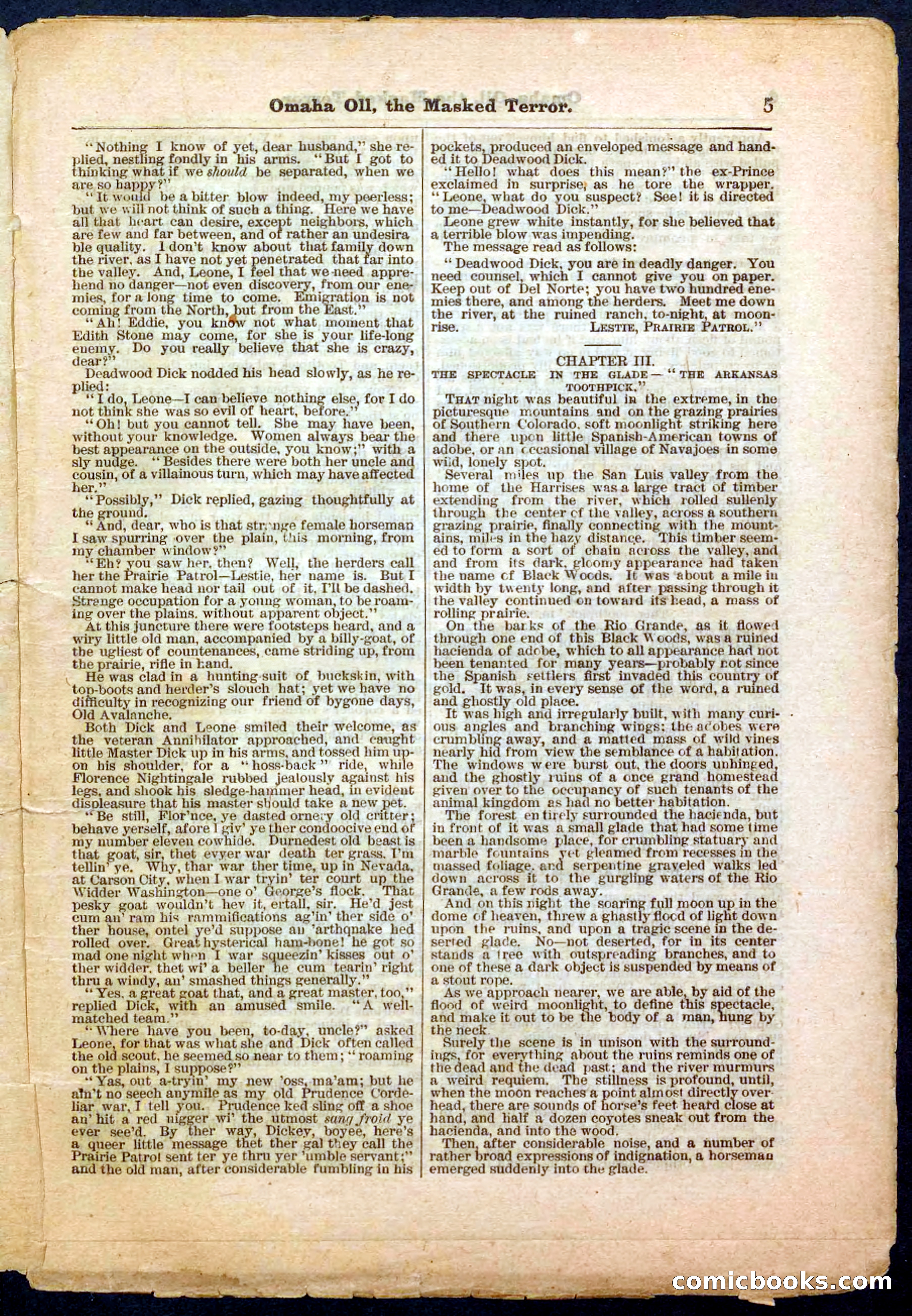 Beadle's Pocket Library No. 33 — page 5 of 32