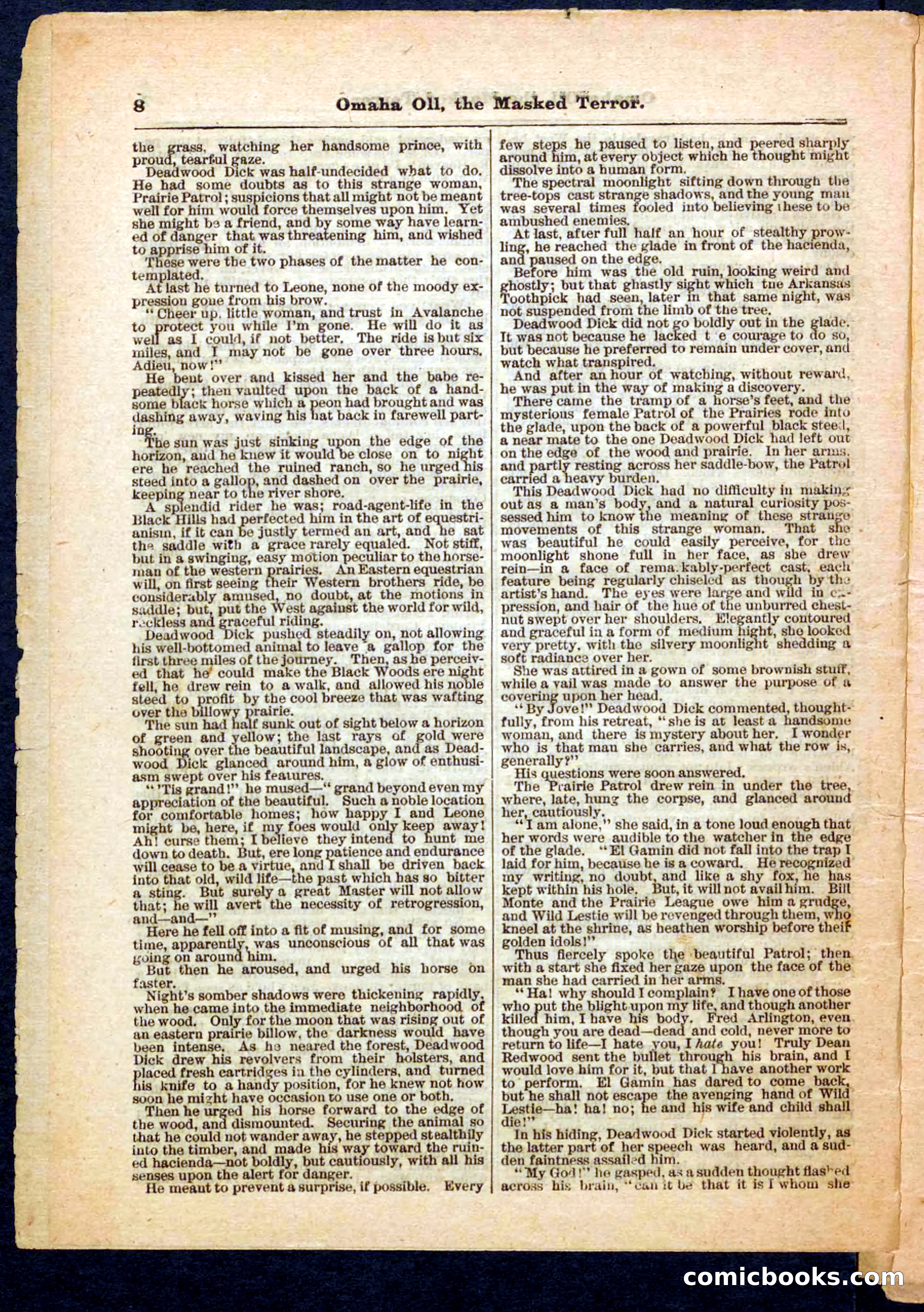 Beadle's Pocket Library No. 33 — page 8 of 32