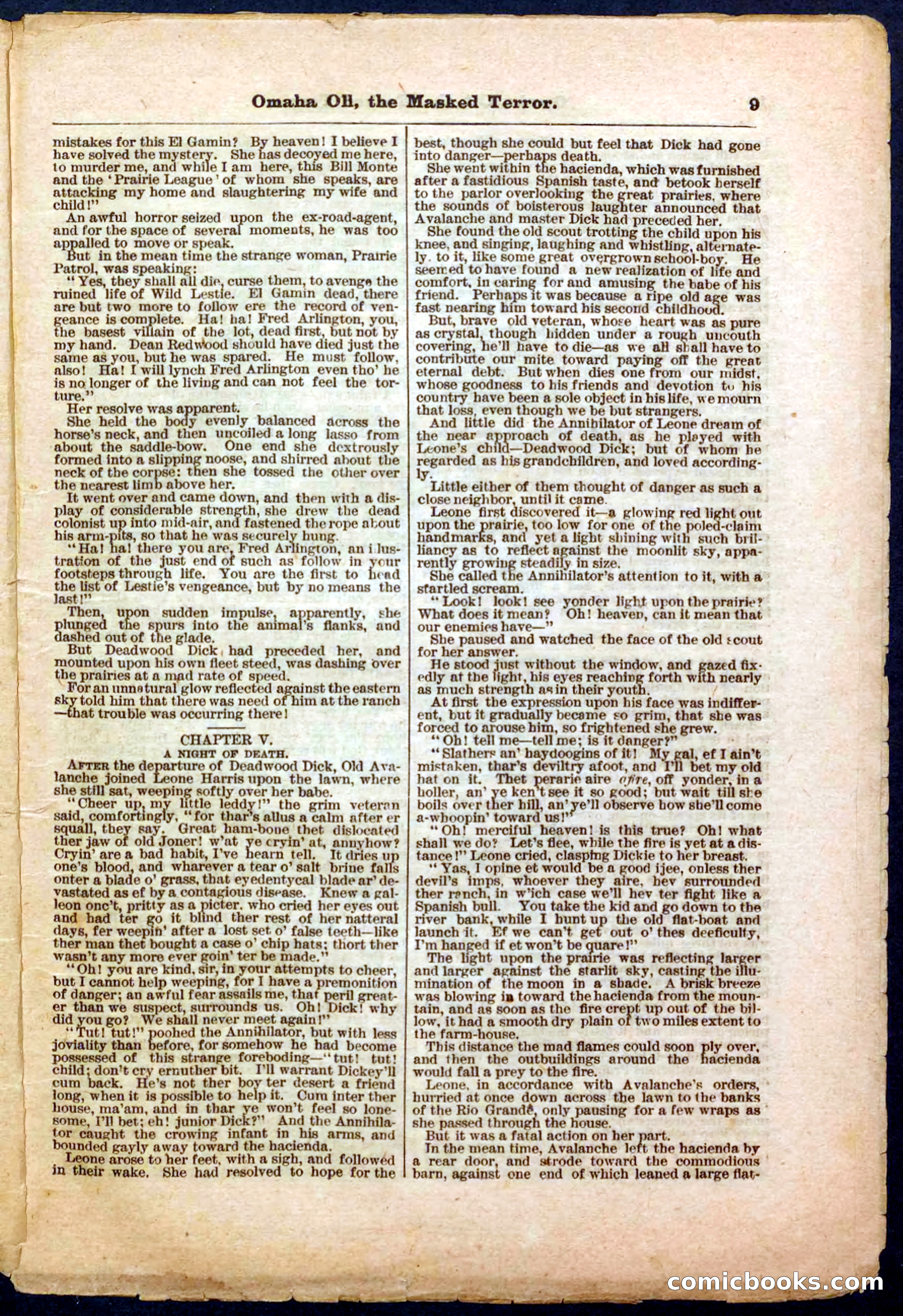 Beadle's Pocket Library No. 33 — page 9 of 32