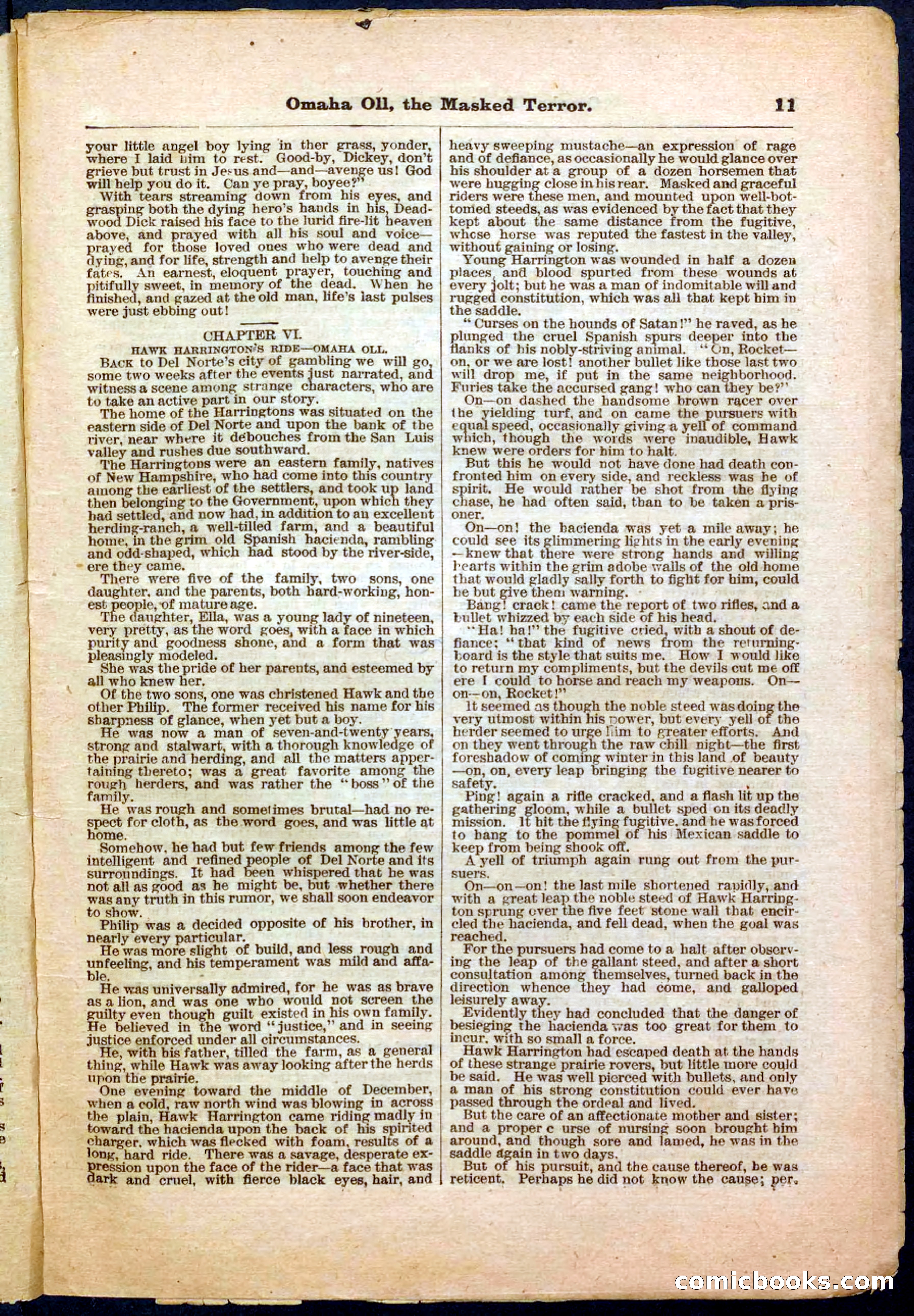 Beadle's Pocket Library No. 33 — page 11 of 32