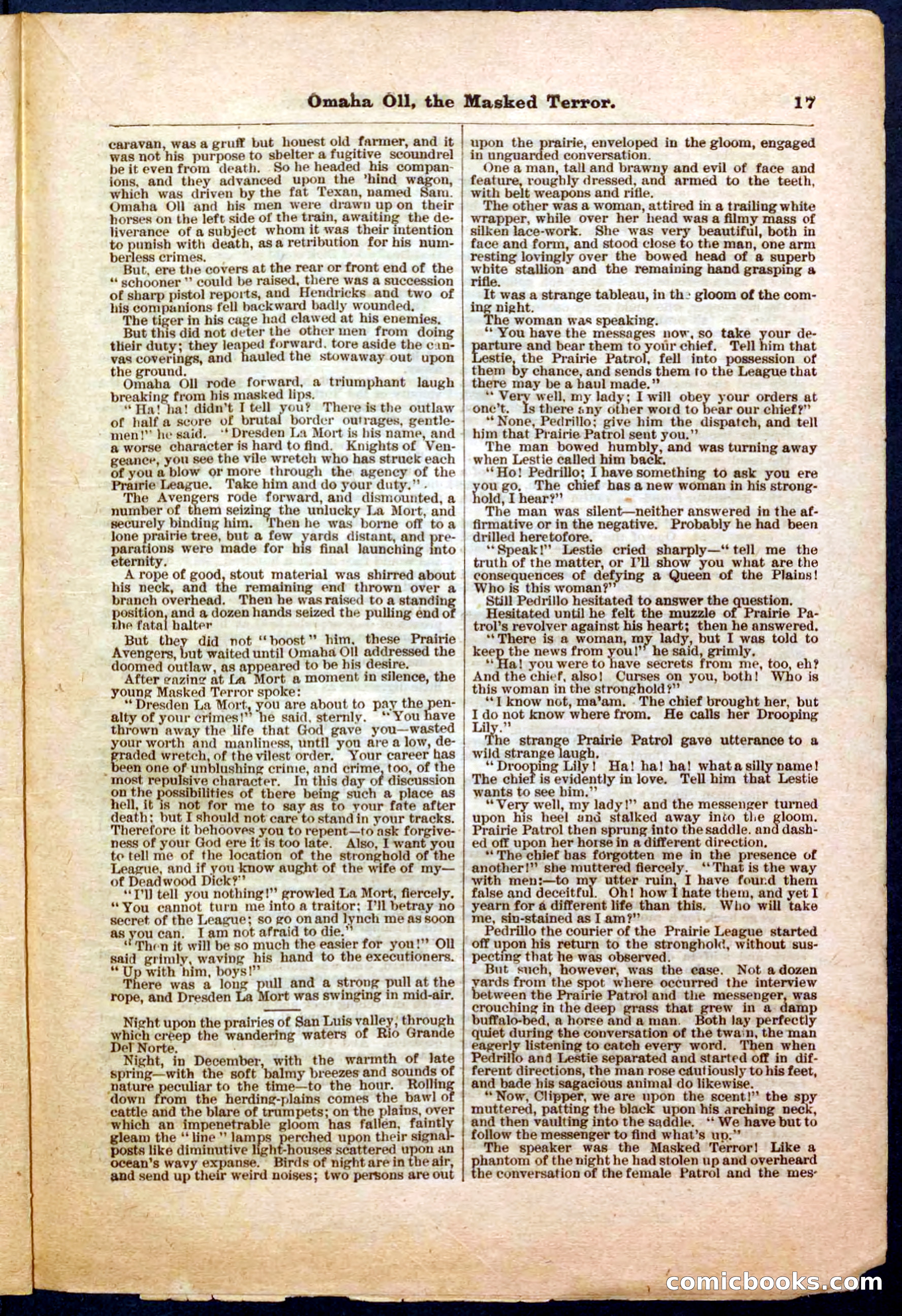 Beadle's Pocket Library No. 33 — page 17 of 32