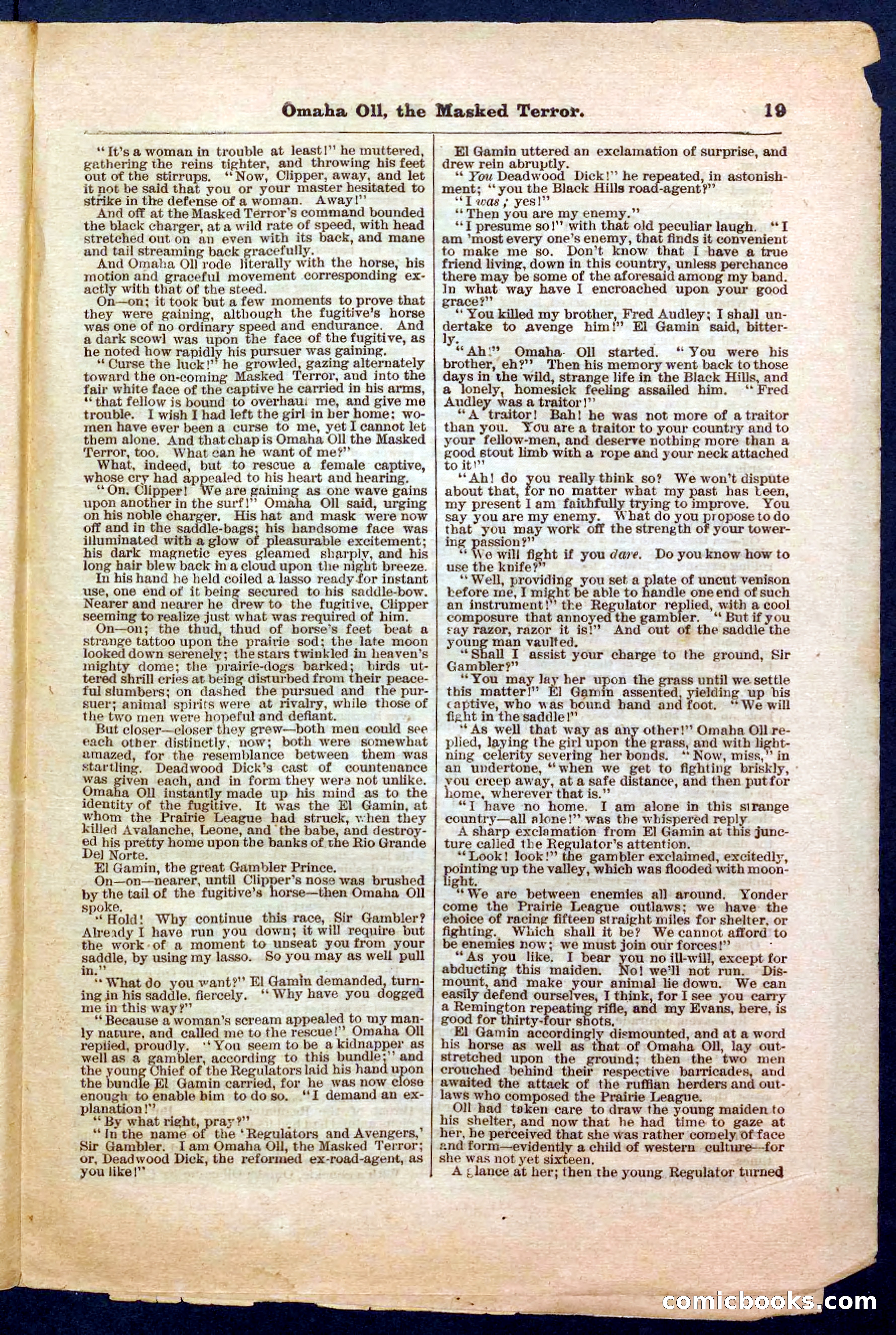 Beadle's Pocket Library No. 33 — page 19 of 32