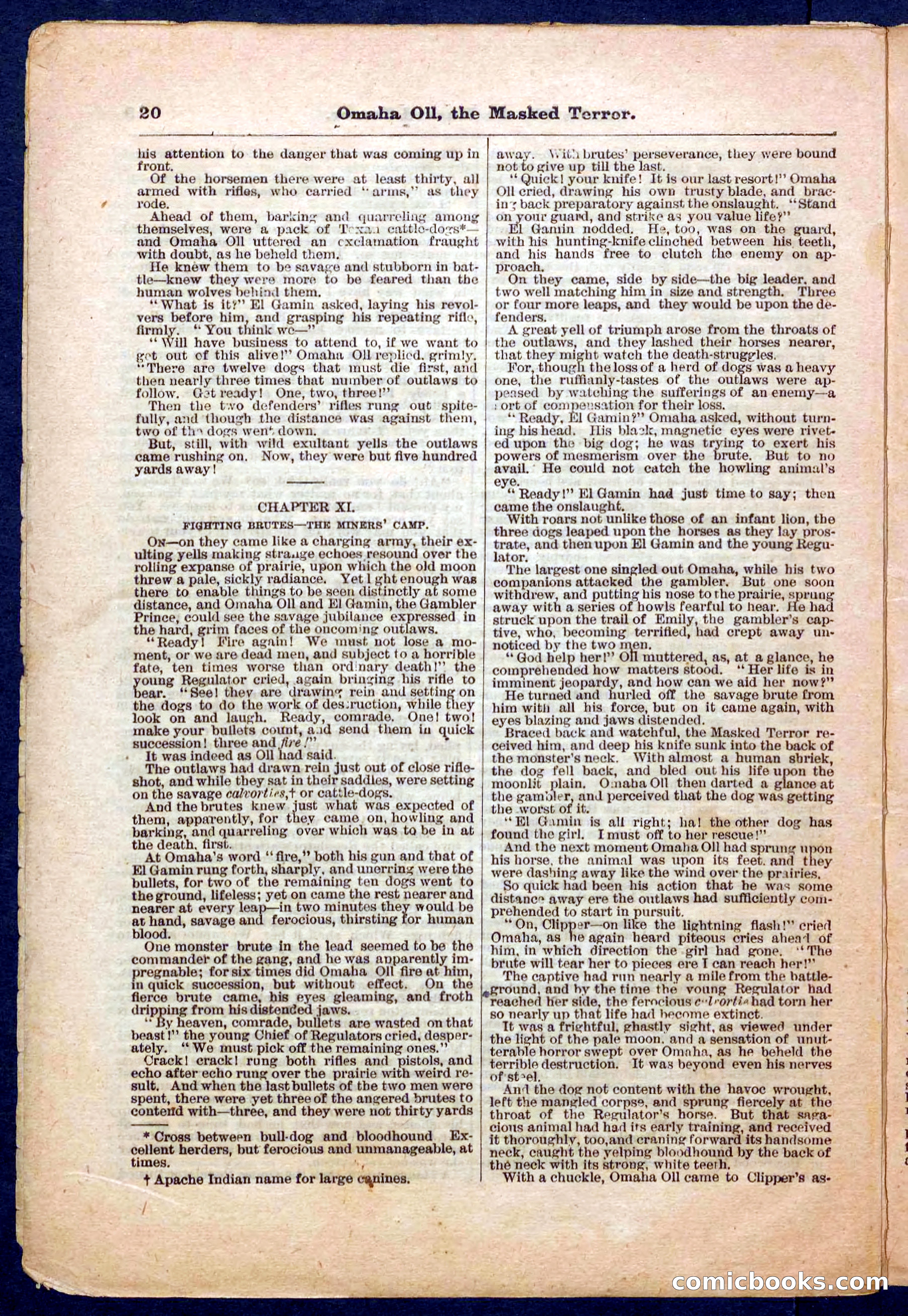 Beadle's Pocket Library No. 33 — page 20 of 32