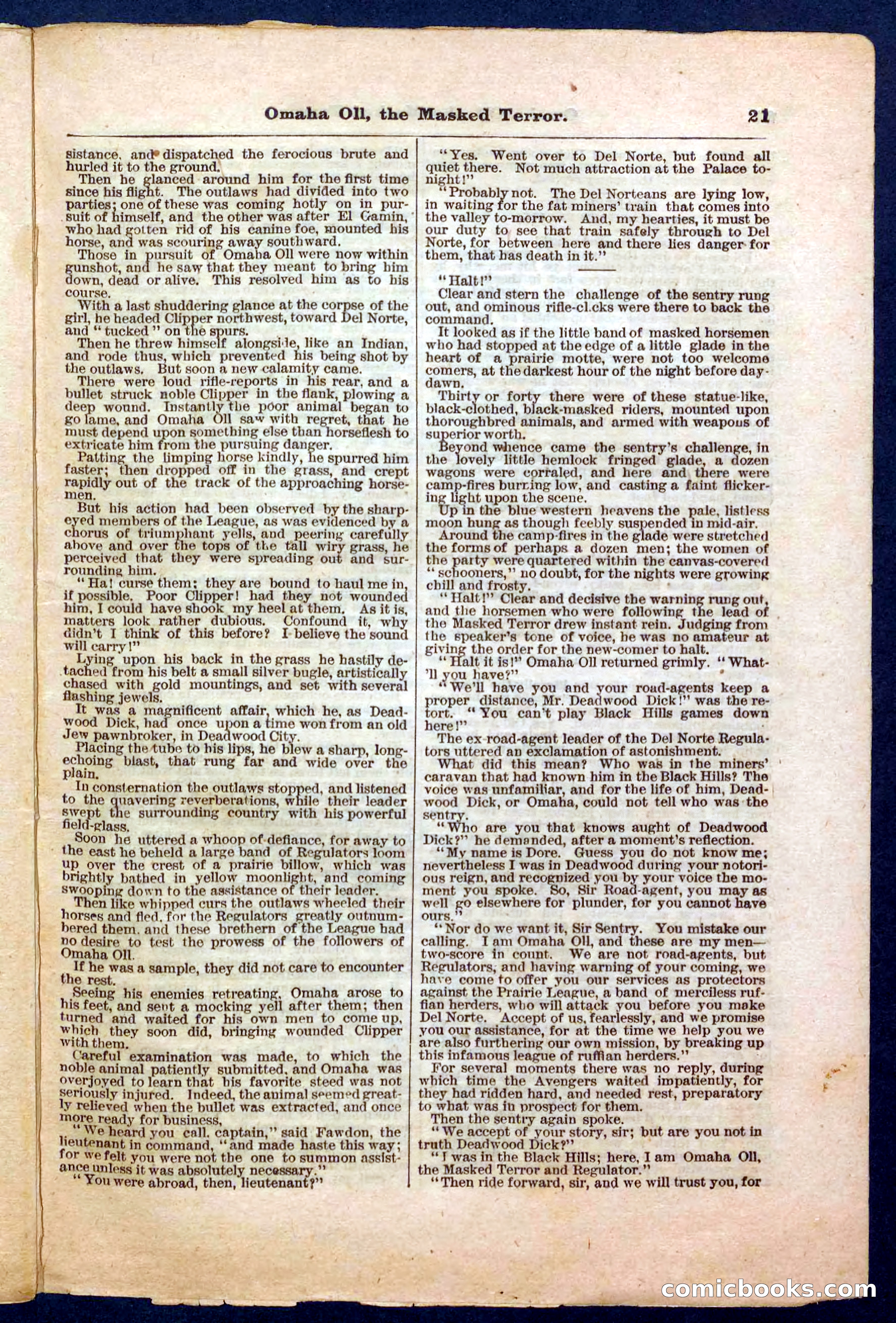 Beadle's Pocket Library No. 33 — page 21 of 32