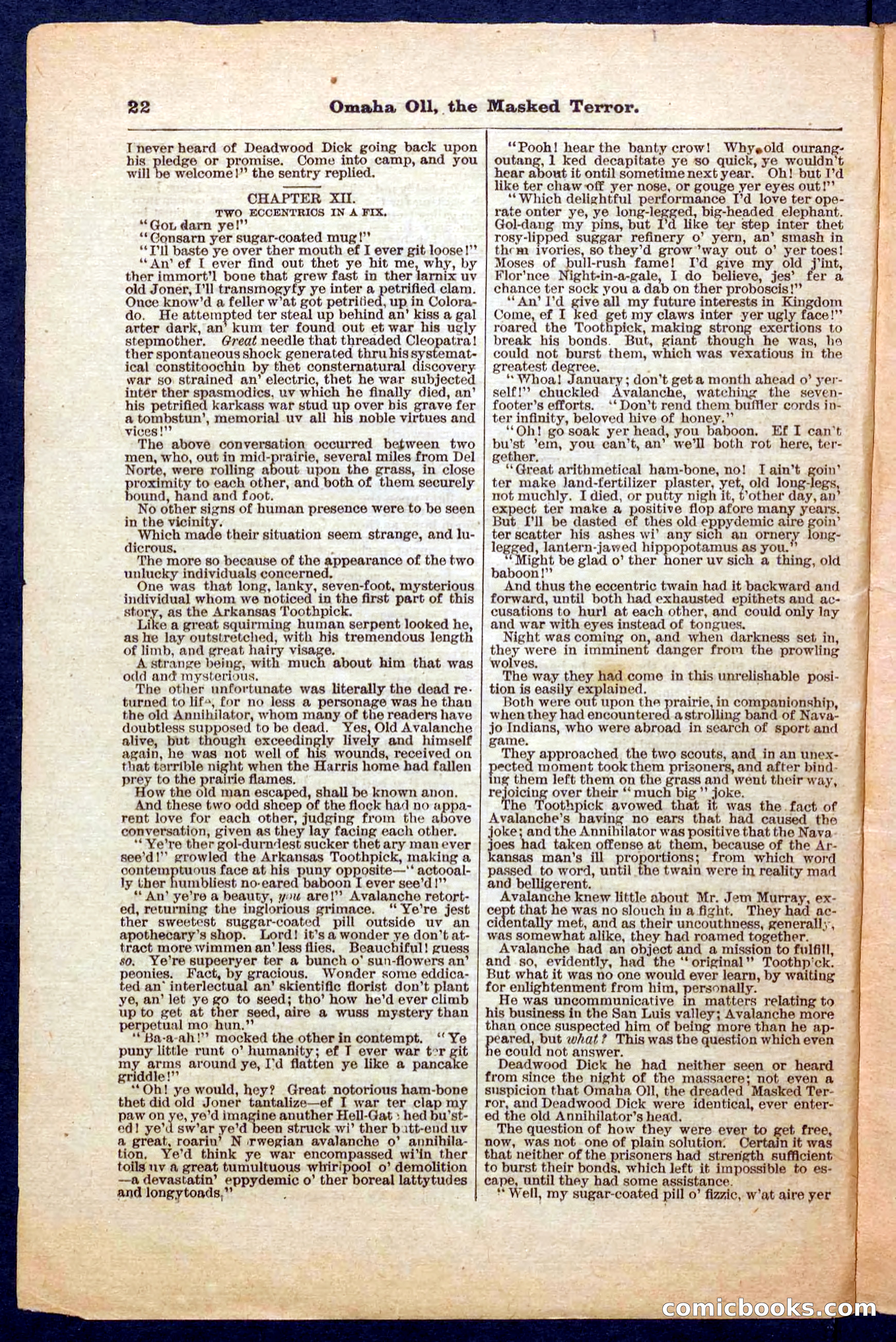 Beadle's Pocket Library No. 33 — page 22 of 32