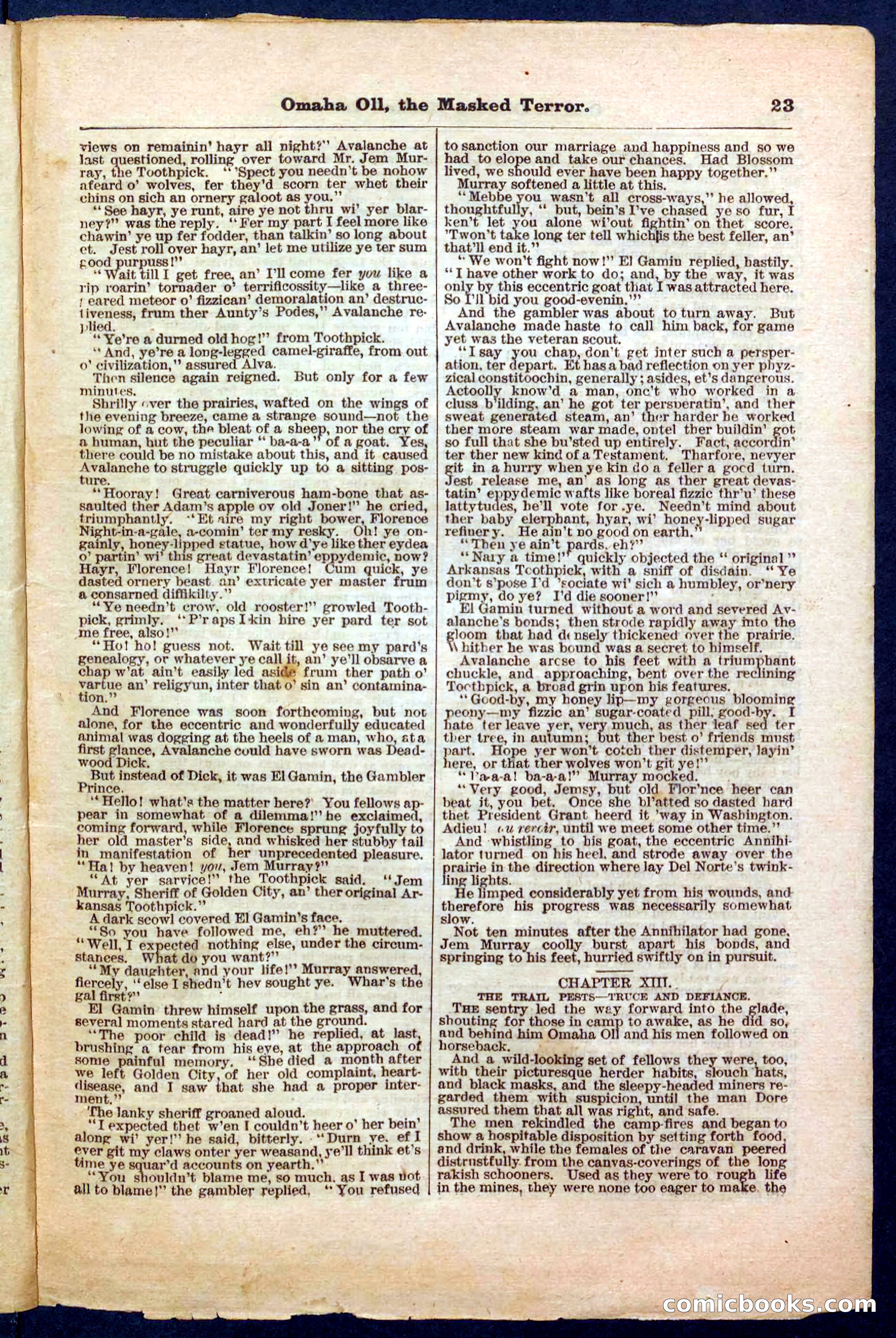 Beadle's Pocket Library No. 33 — page 23 of 32