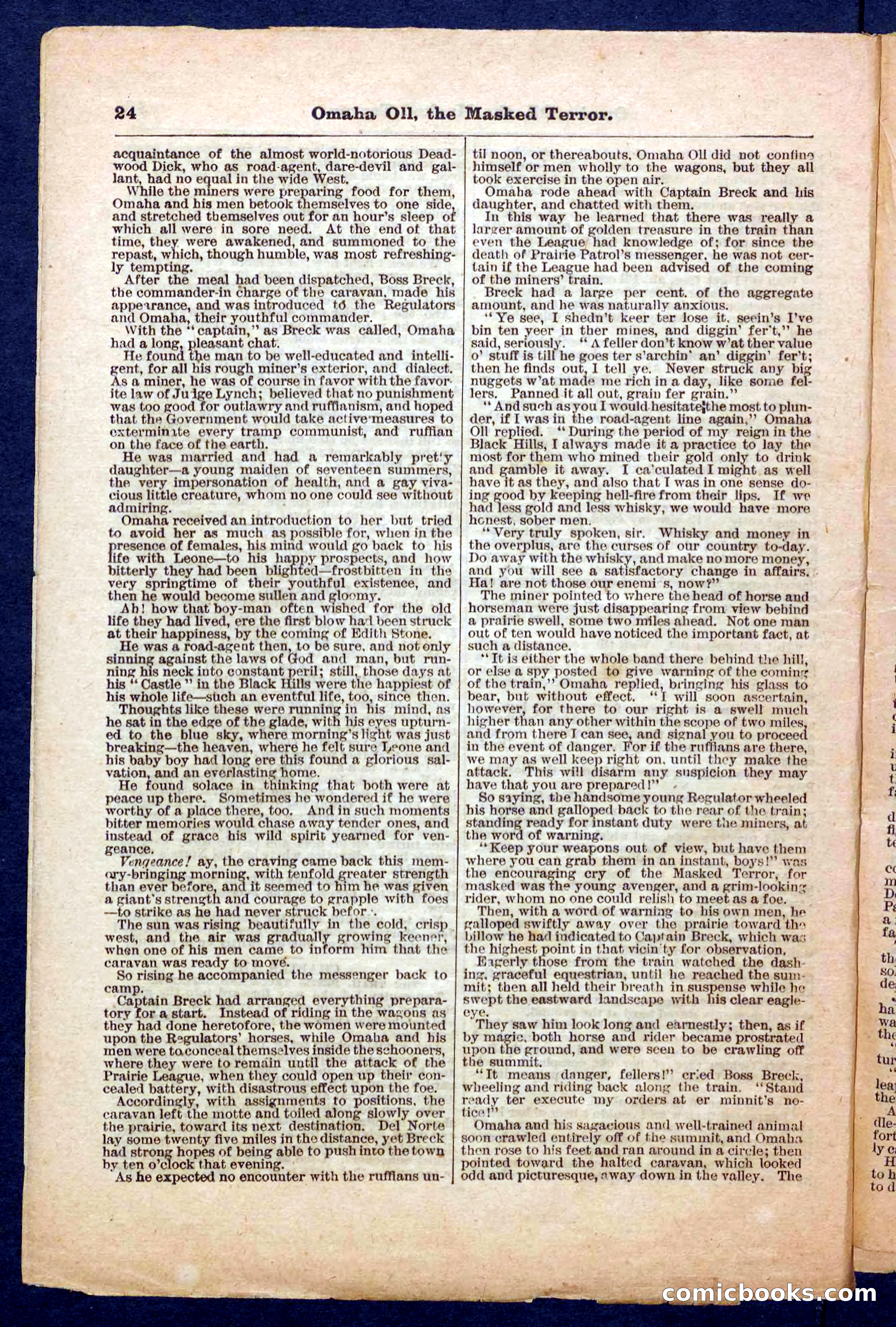 Beadle's Pocket Library No. 33 — page 24 of 32