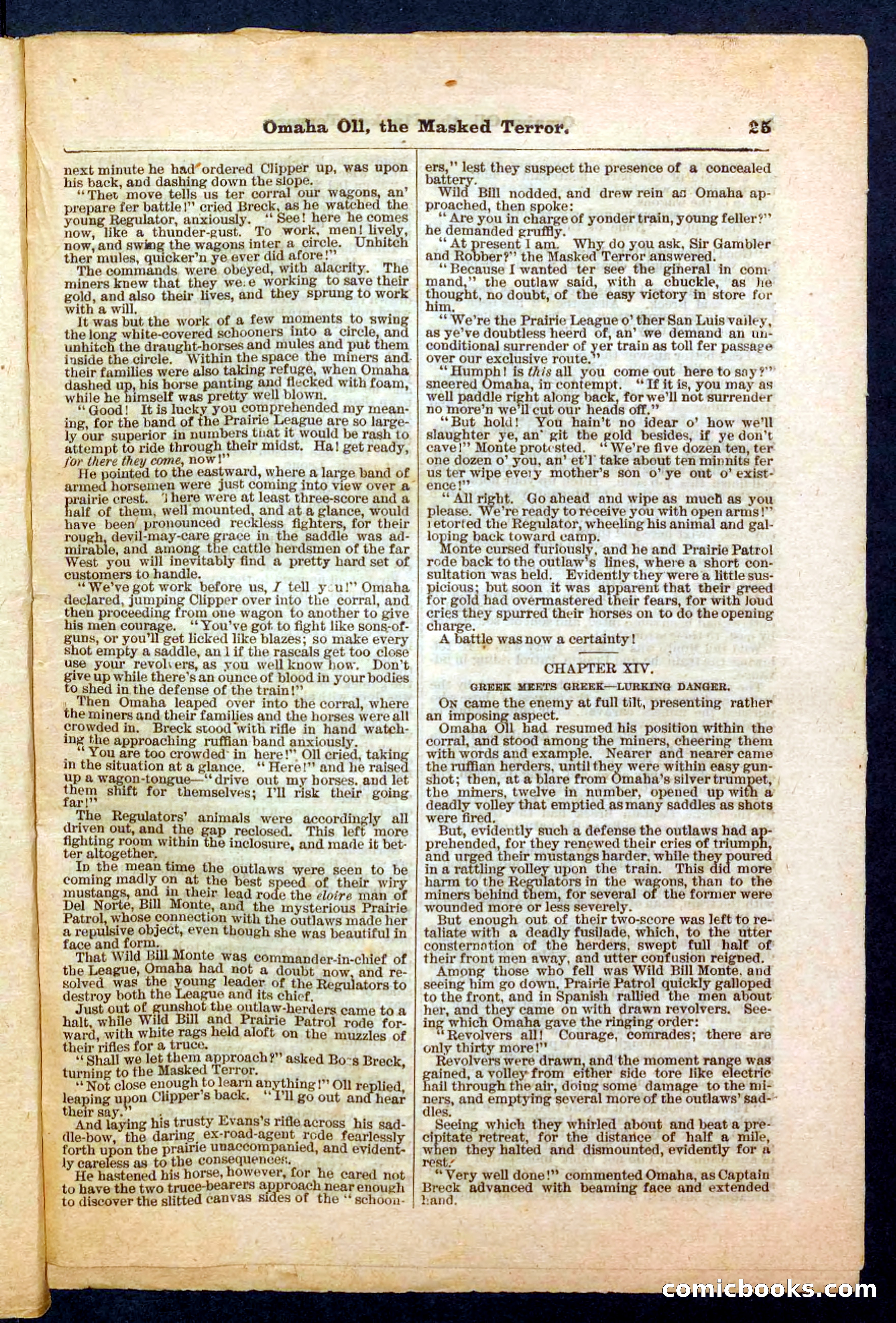 Beadle's Pocket Library No. 33 — page 25 of 32