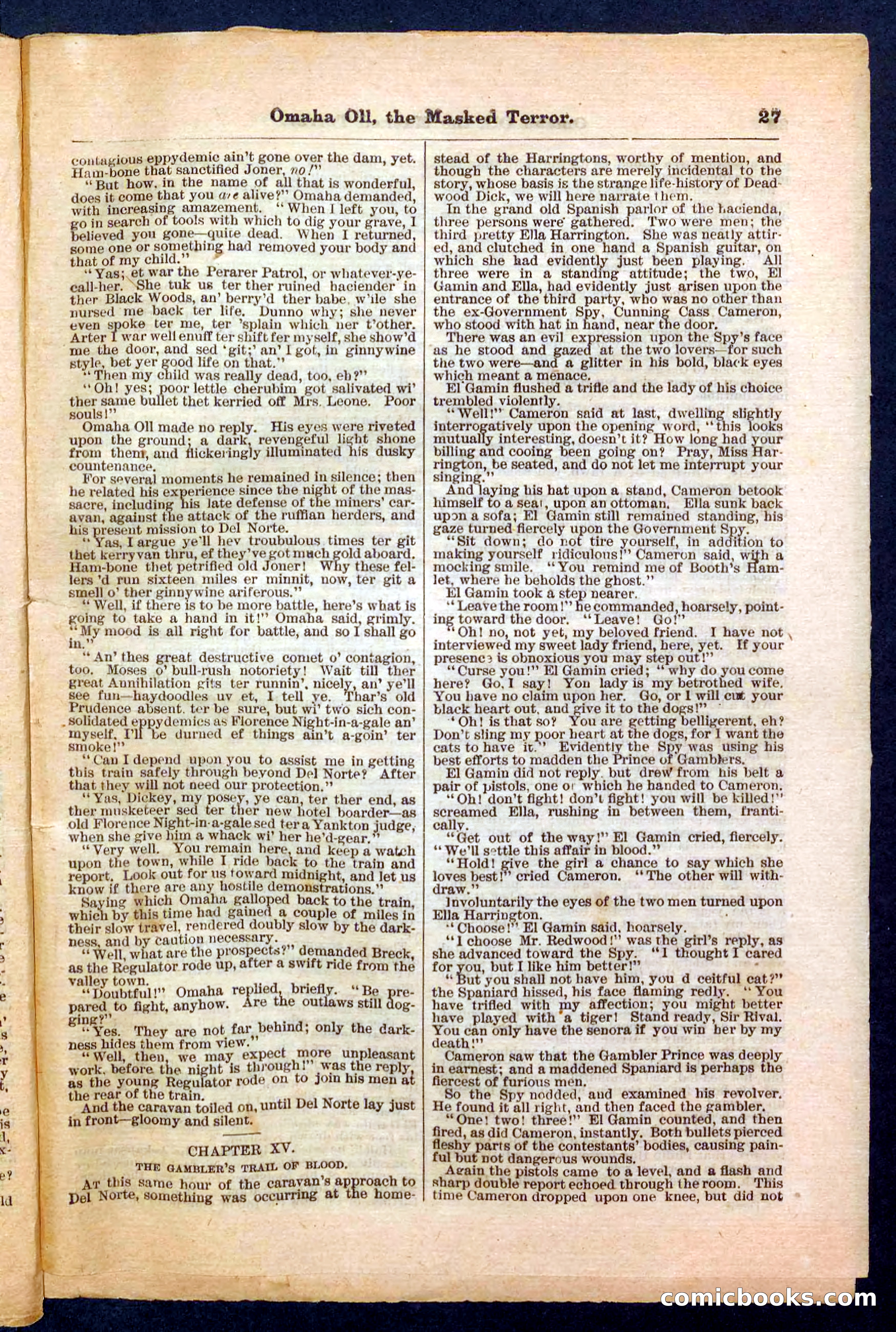 Beadle's Pocket Library No. 33 — page 27 of 32