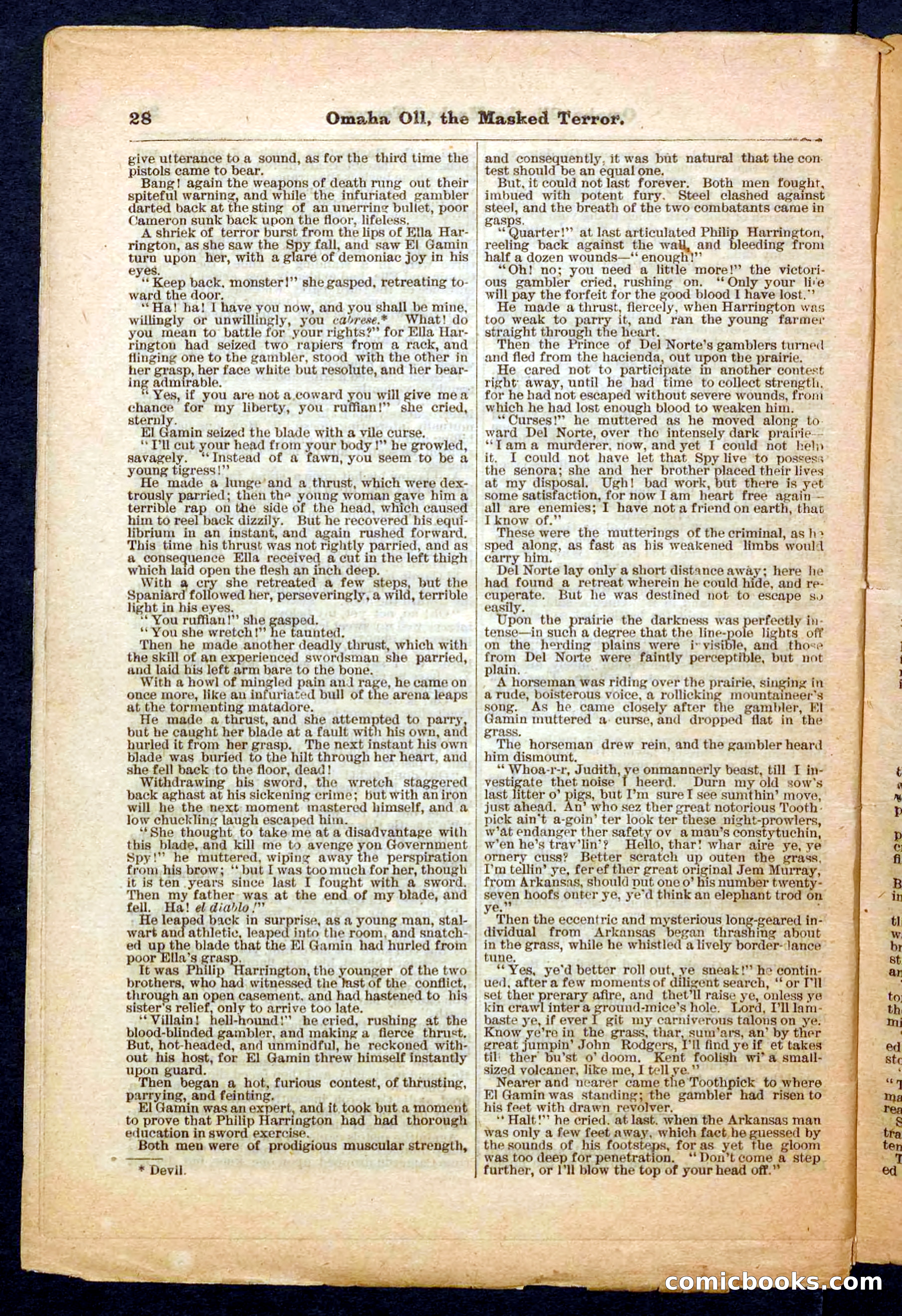 Beadle's Pocket Library No. 33 — page 28 of 32
