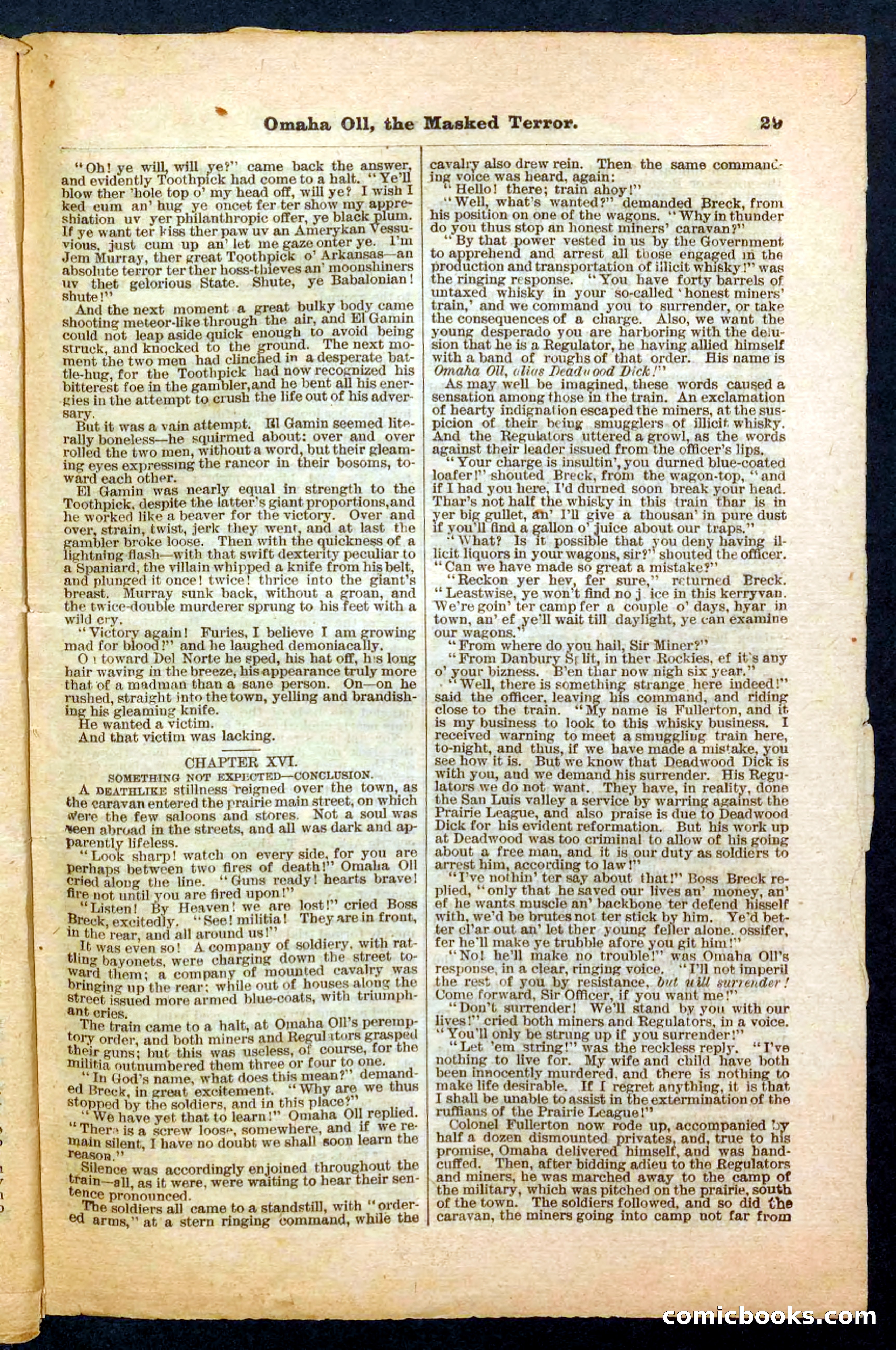Beadle's Pocket Library No. 33 — page 29 of 32