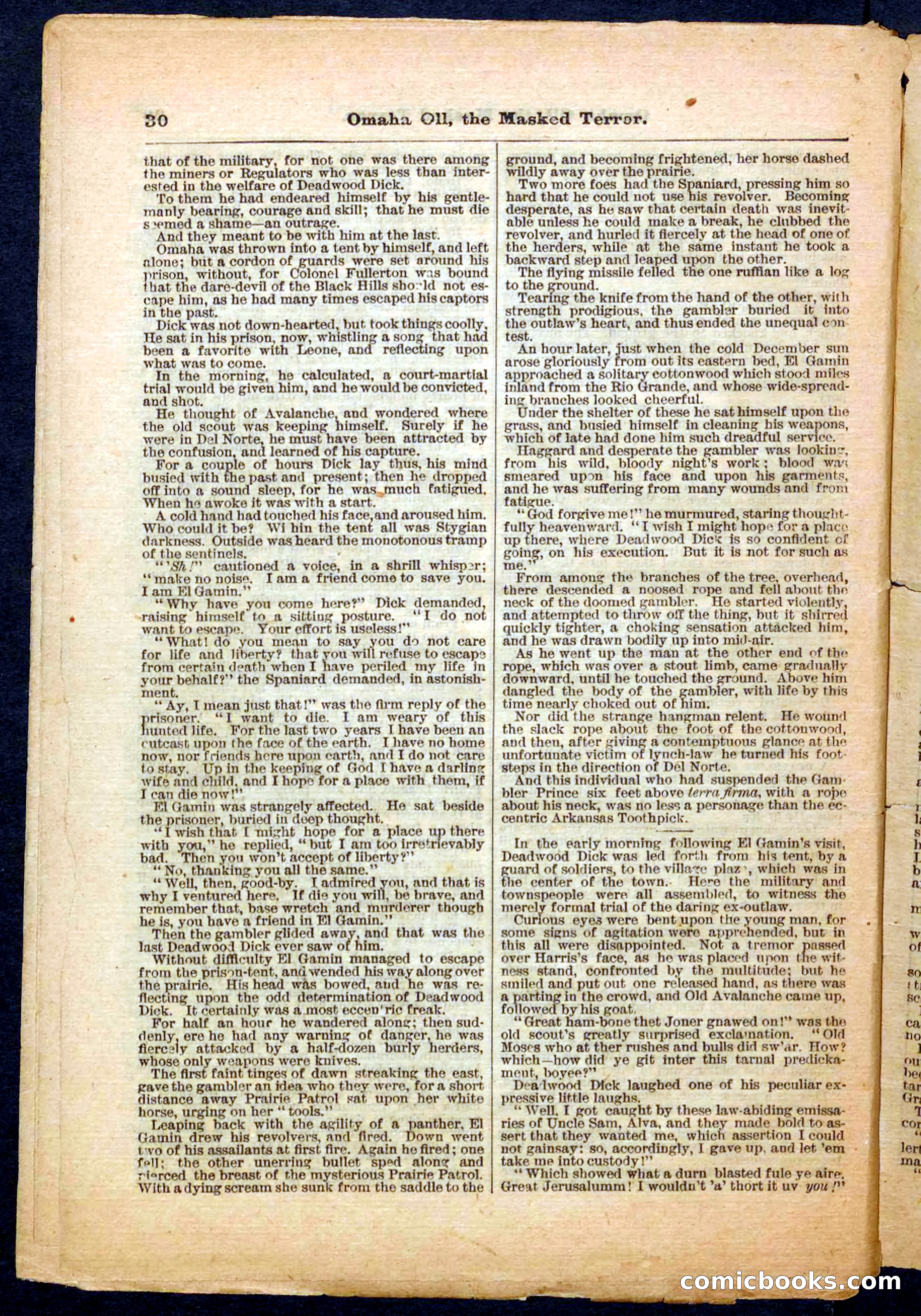 Beadle's Pocket Library No. 33 — page 30 of 32
