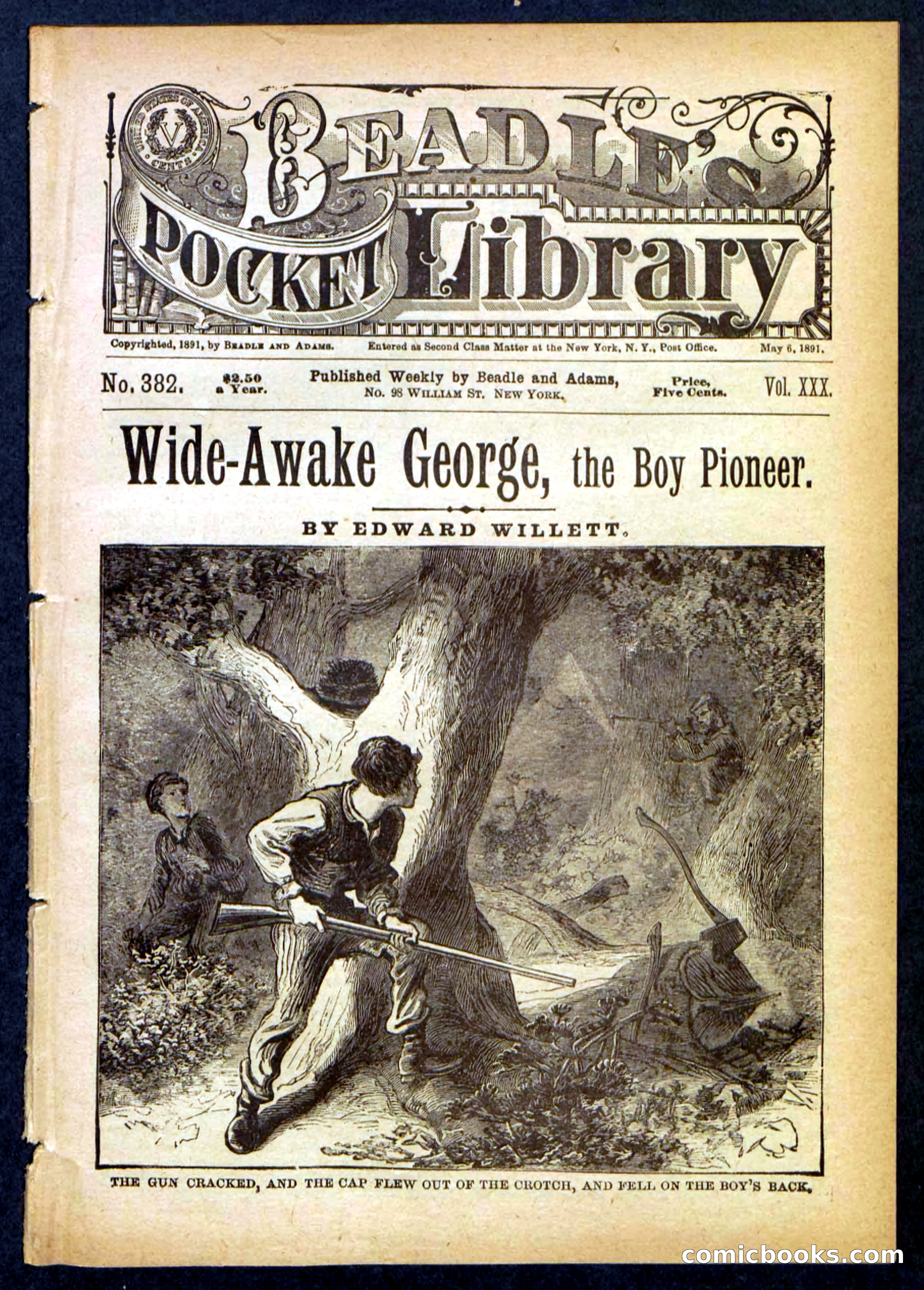 Beadle's Pocket Library No. 382