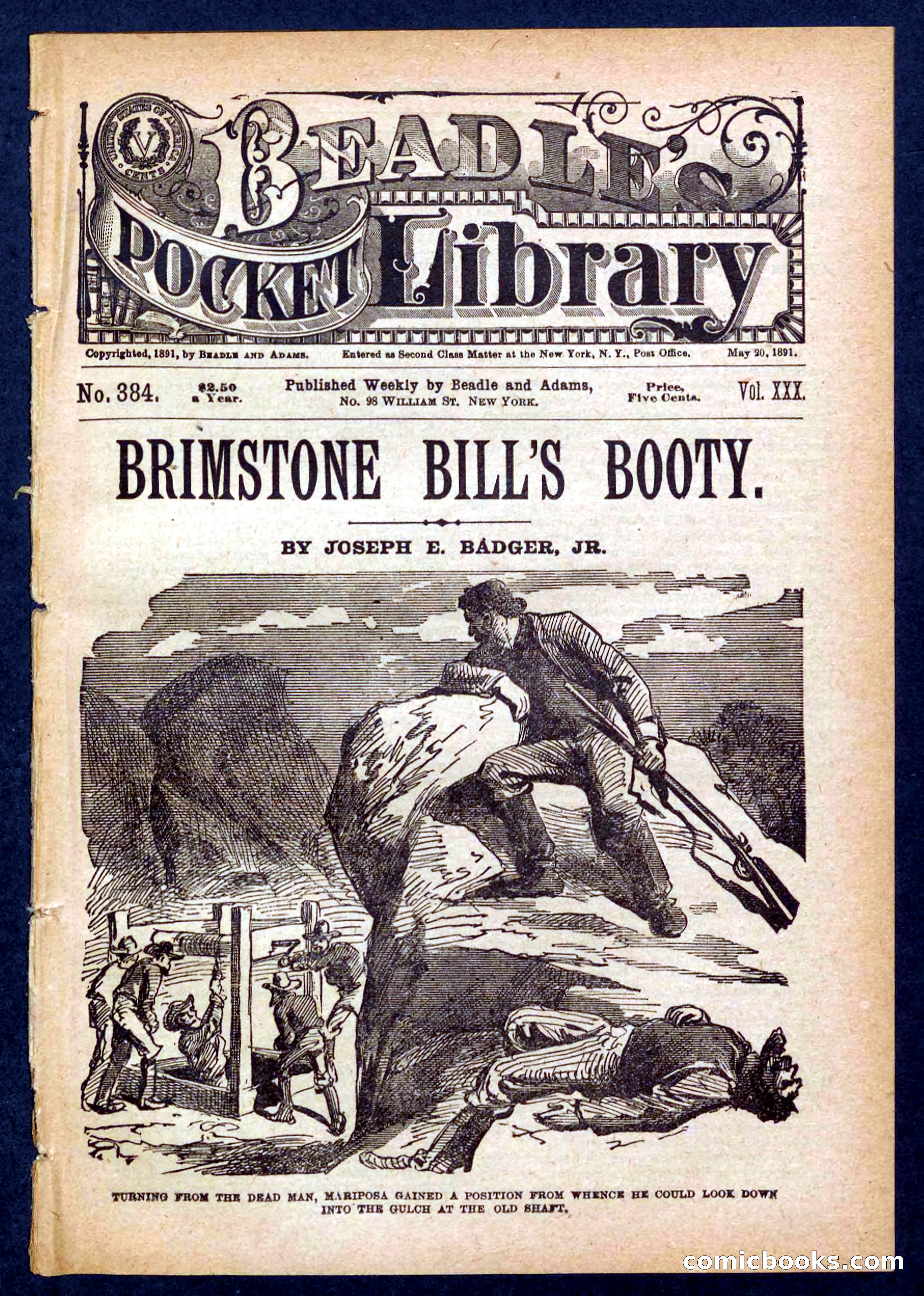 Beadle's Pocket Library No. 384: Brimstone Bill's Booty