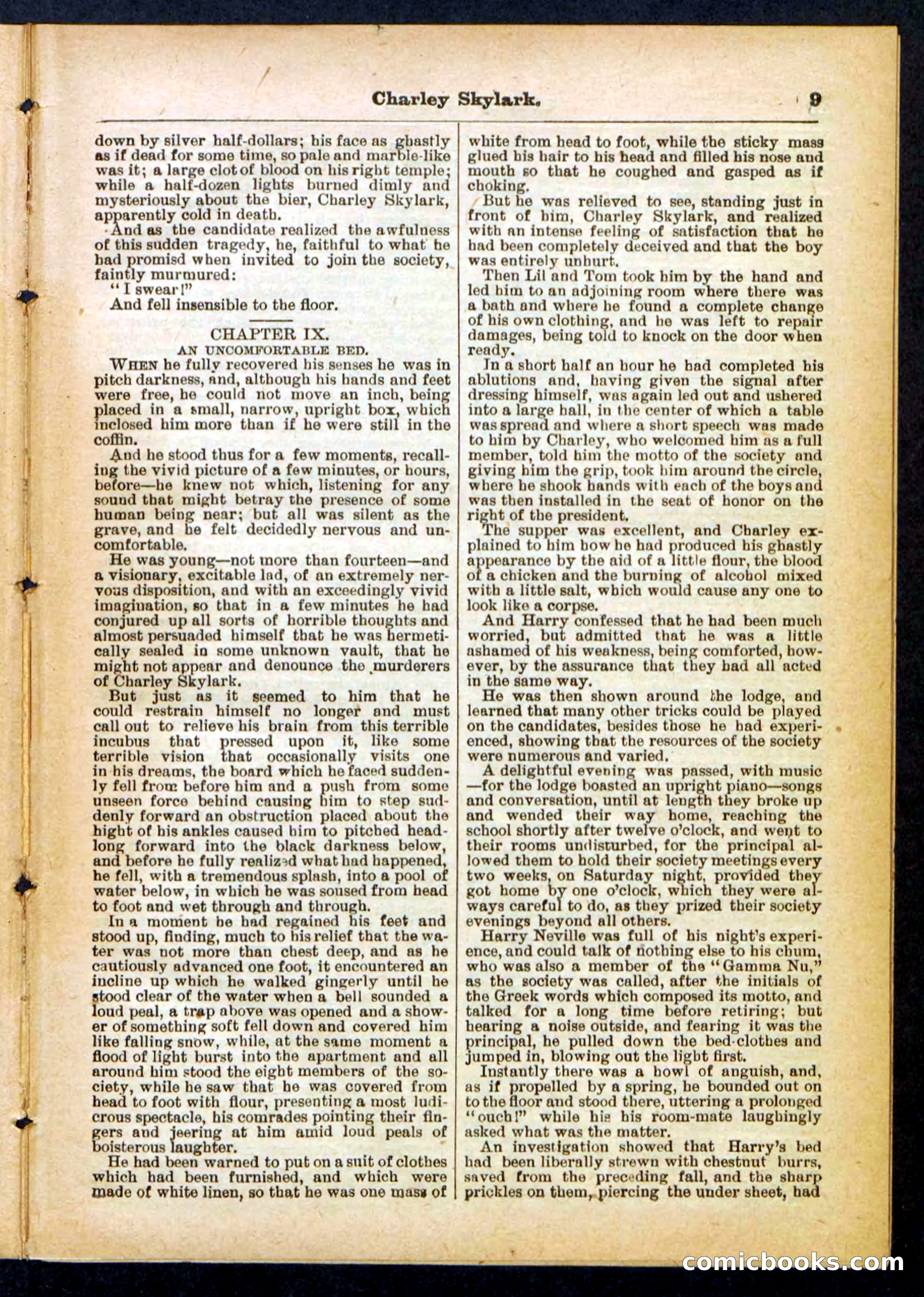 Beadle's Pocket Library No. 391 — page 9 of 32
