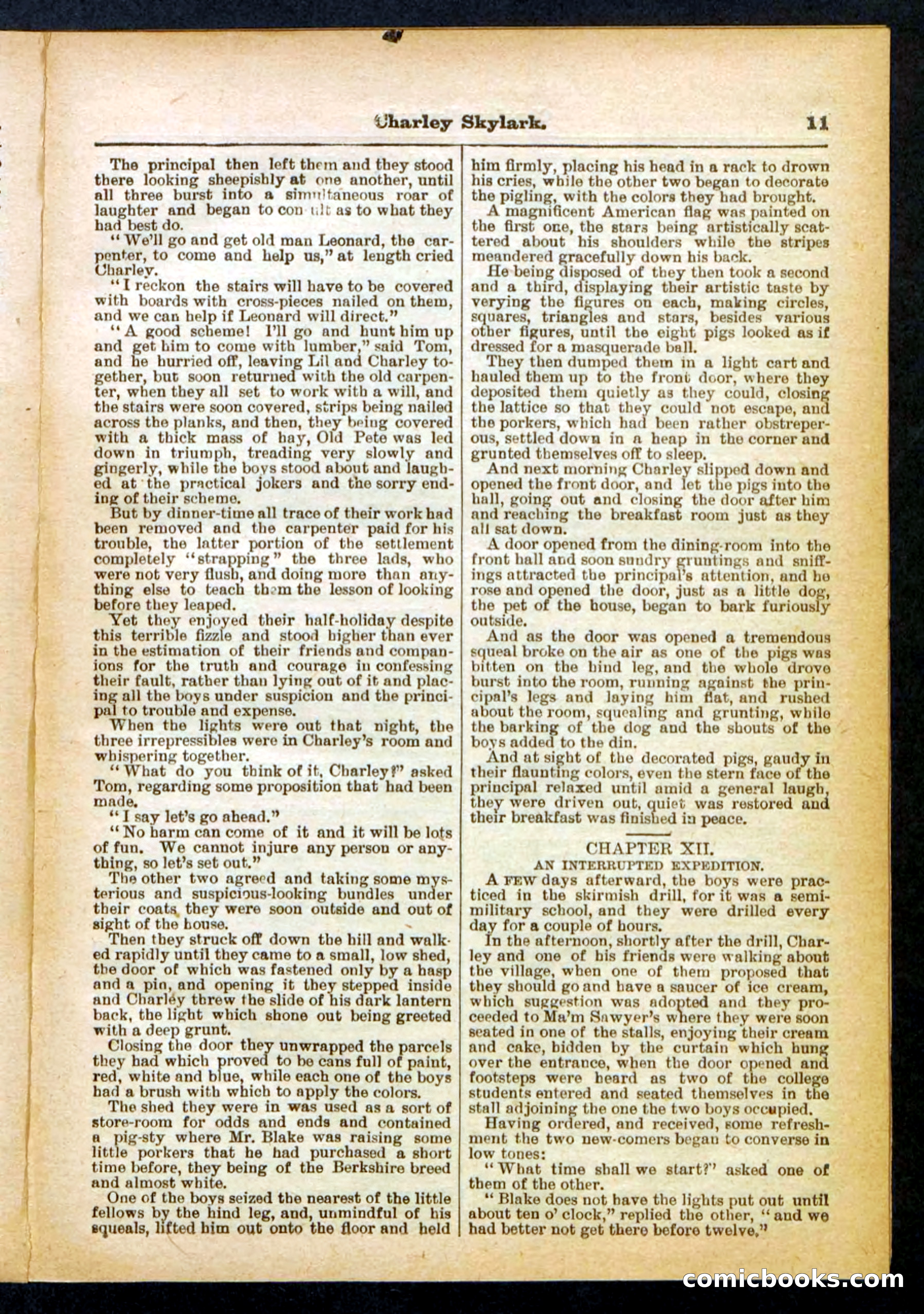Beadle's Pocket Library No. 391 — page 11 of 32