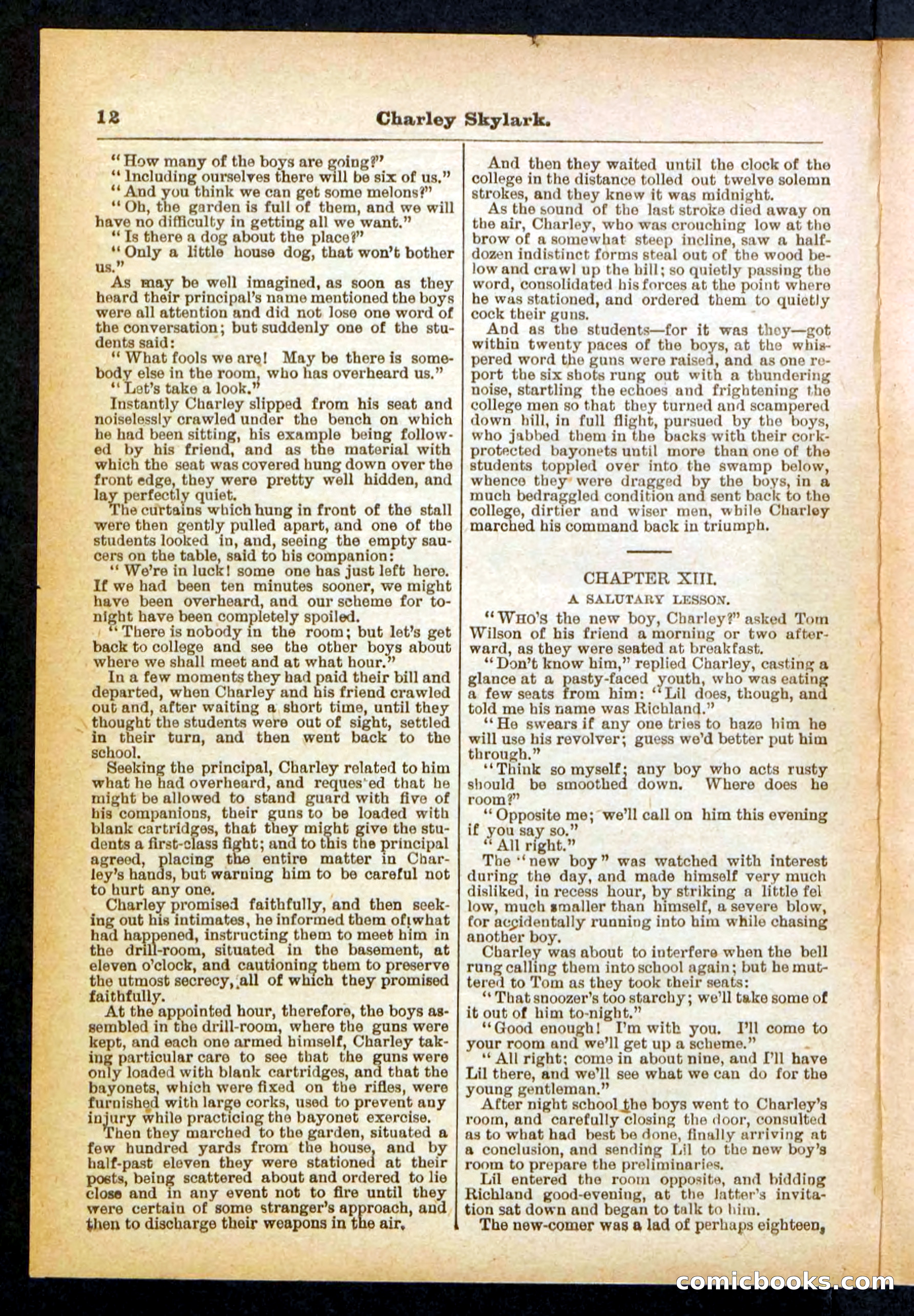 Beadle's Pocket Library No. 391 — page 12 of 32