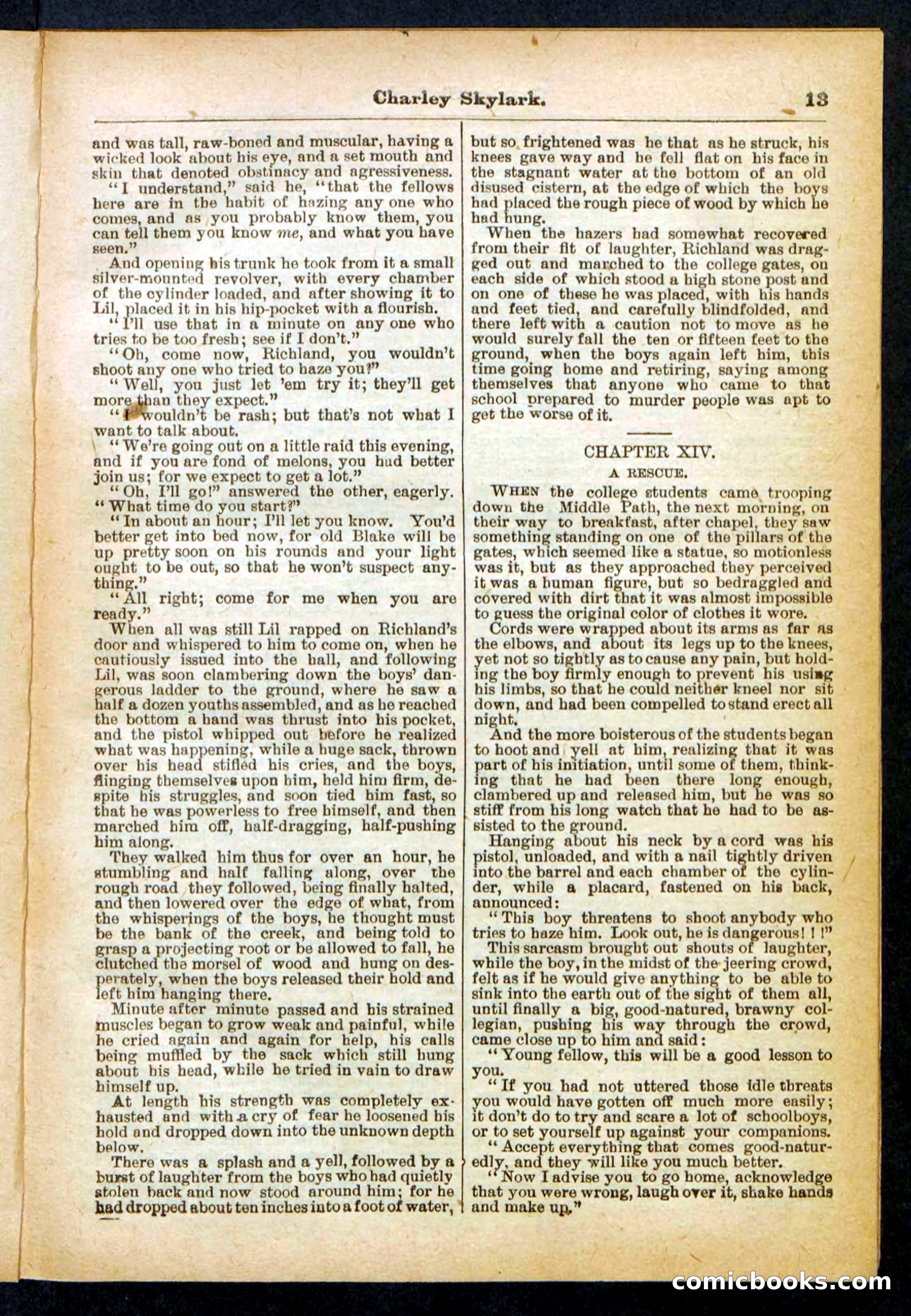 Beadle's Pocket Library No. 391 — page 13 of 32