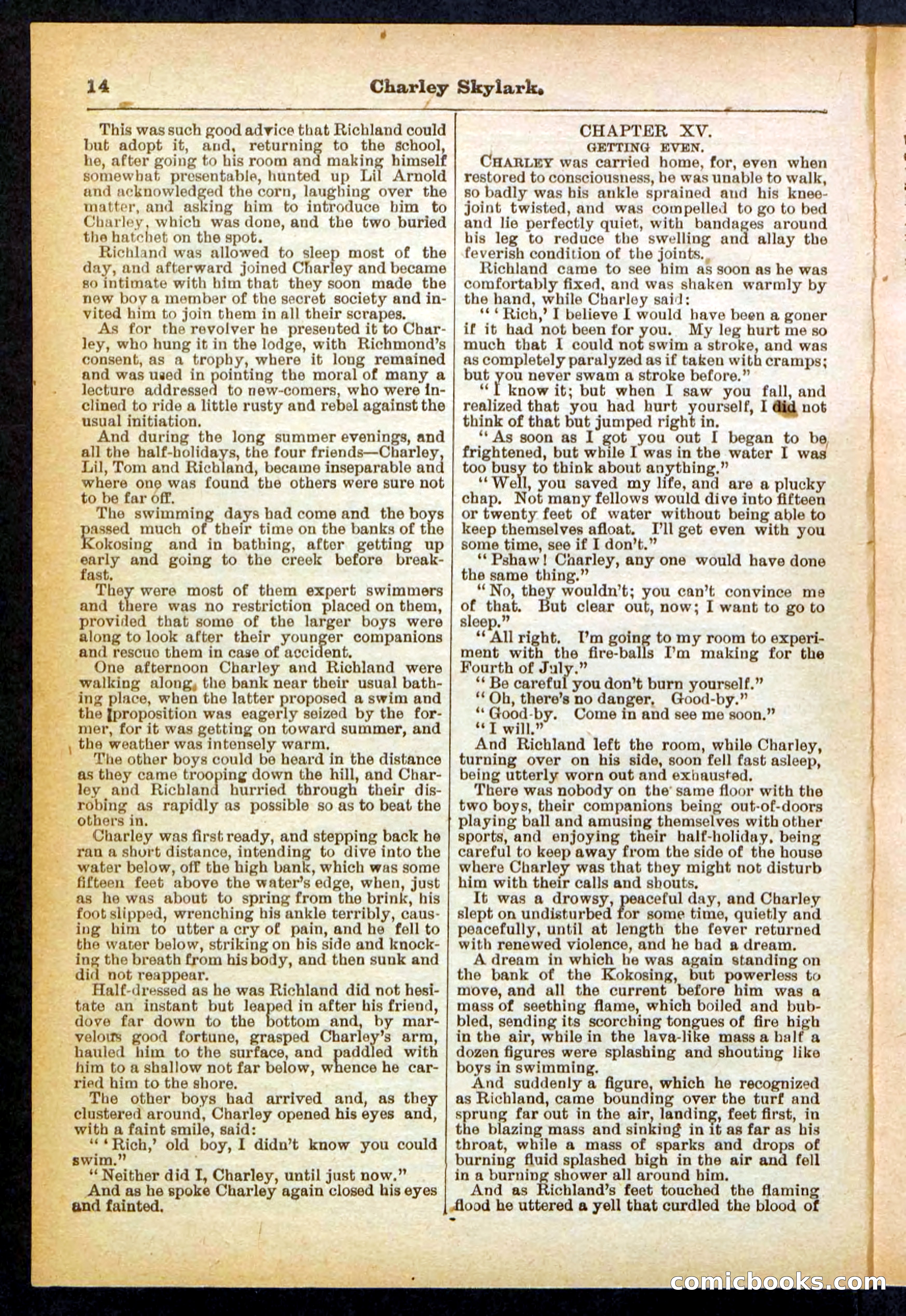 Beadle's Pocket Library No. 391 — page 14 of 32